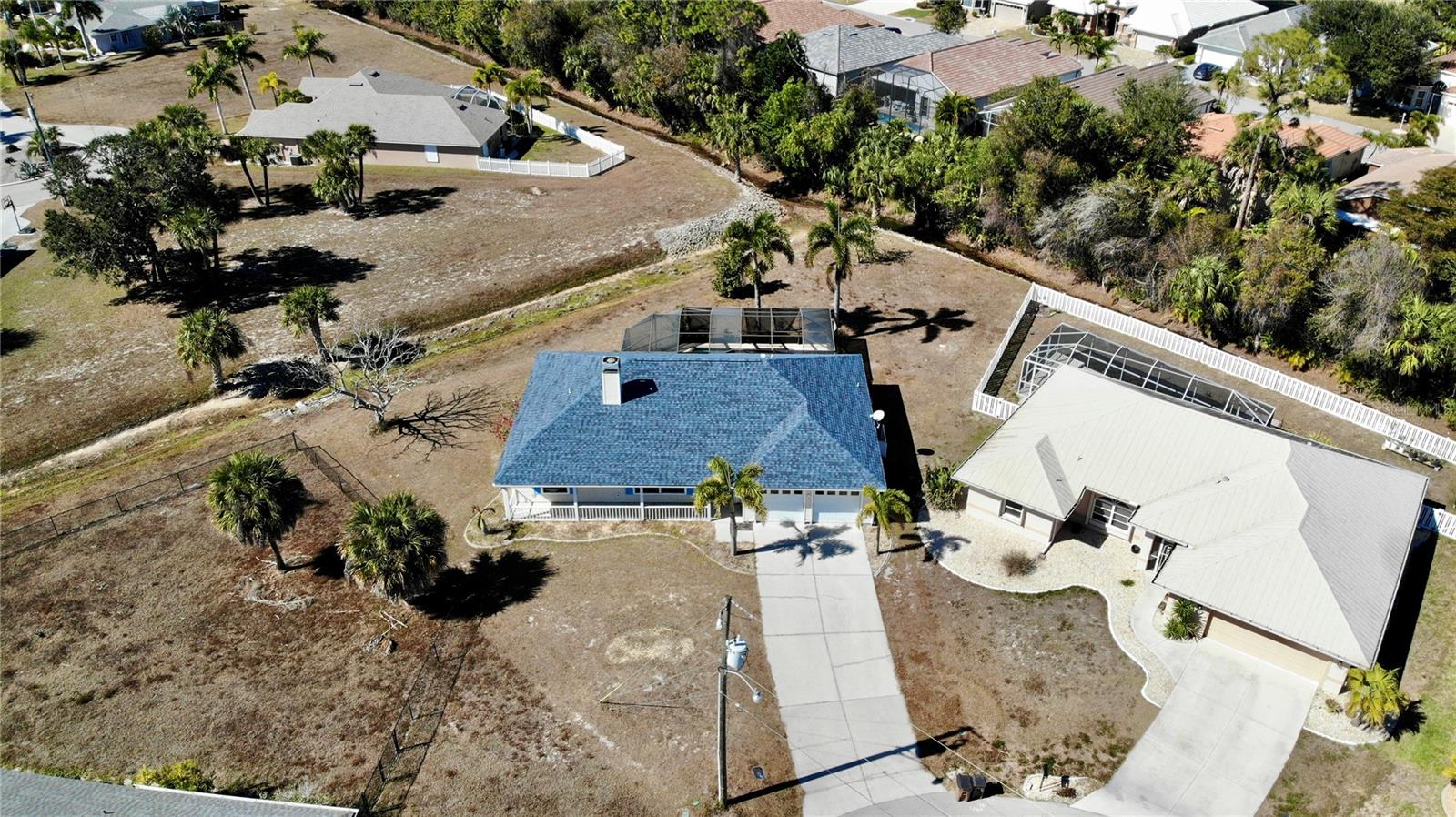 Image 34 of 44 For 528 Tabebuia Tree