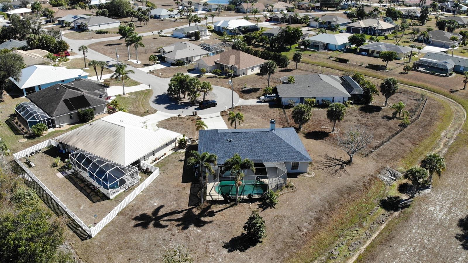 Image 35 of 44 For 528 Tabebuia Tree
