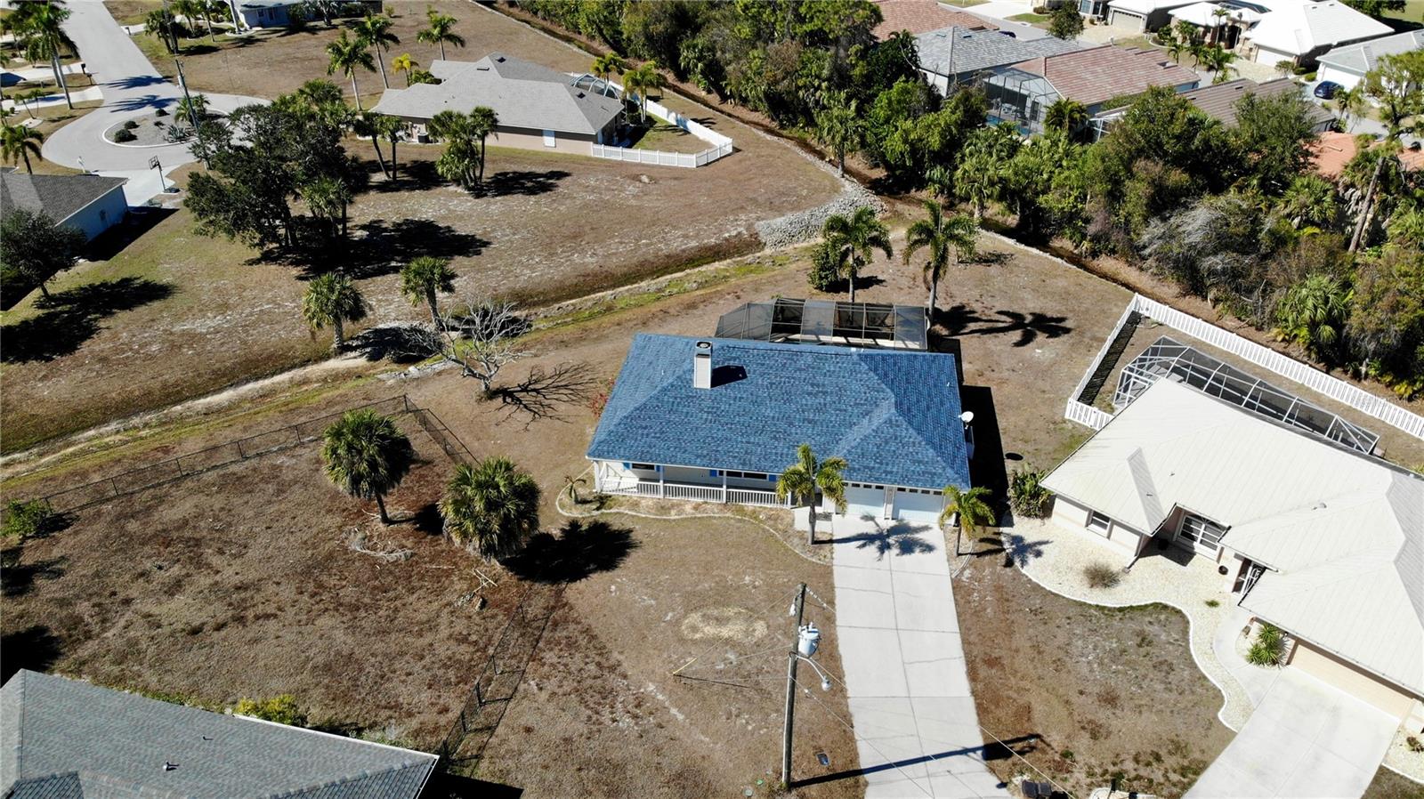 Image 36 of 44 For 528 Tabebuia Tree