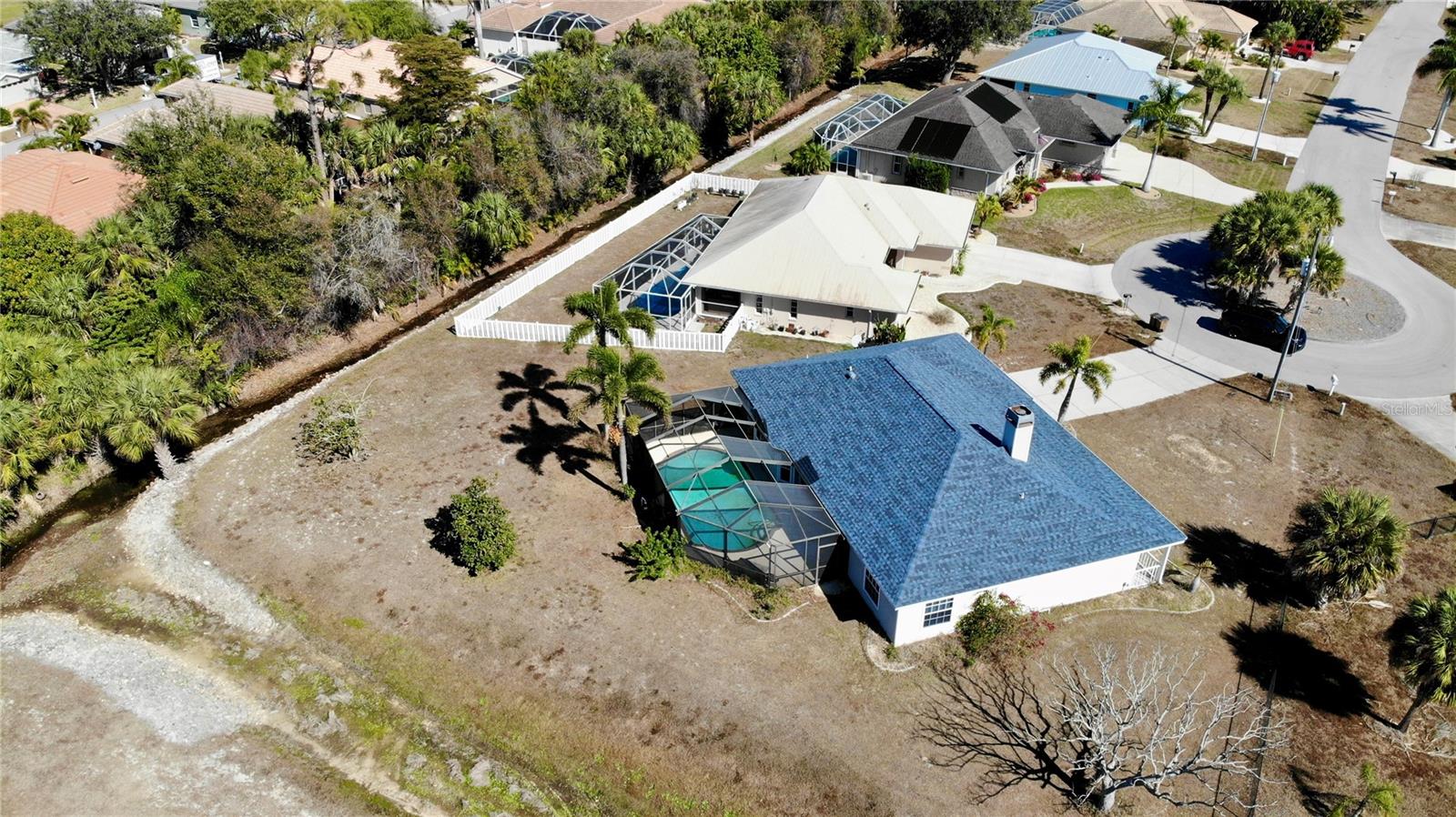 Image 37 of 44 For 528 Tabebuia Tree