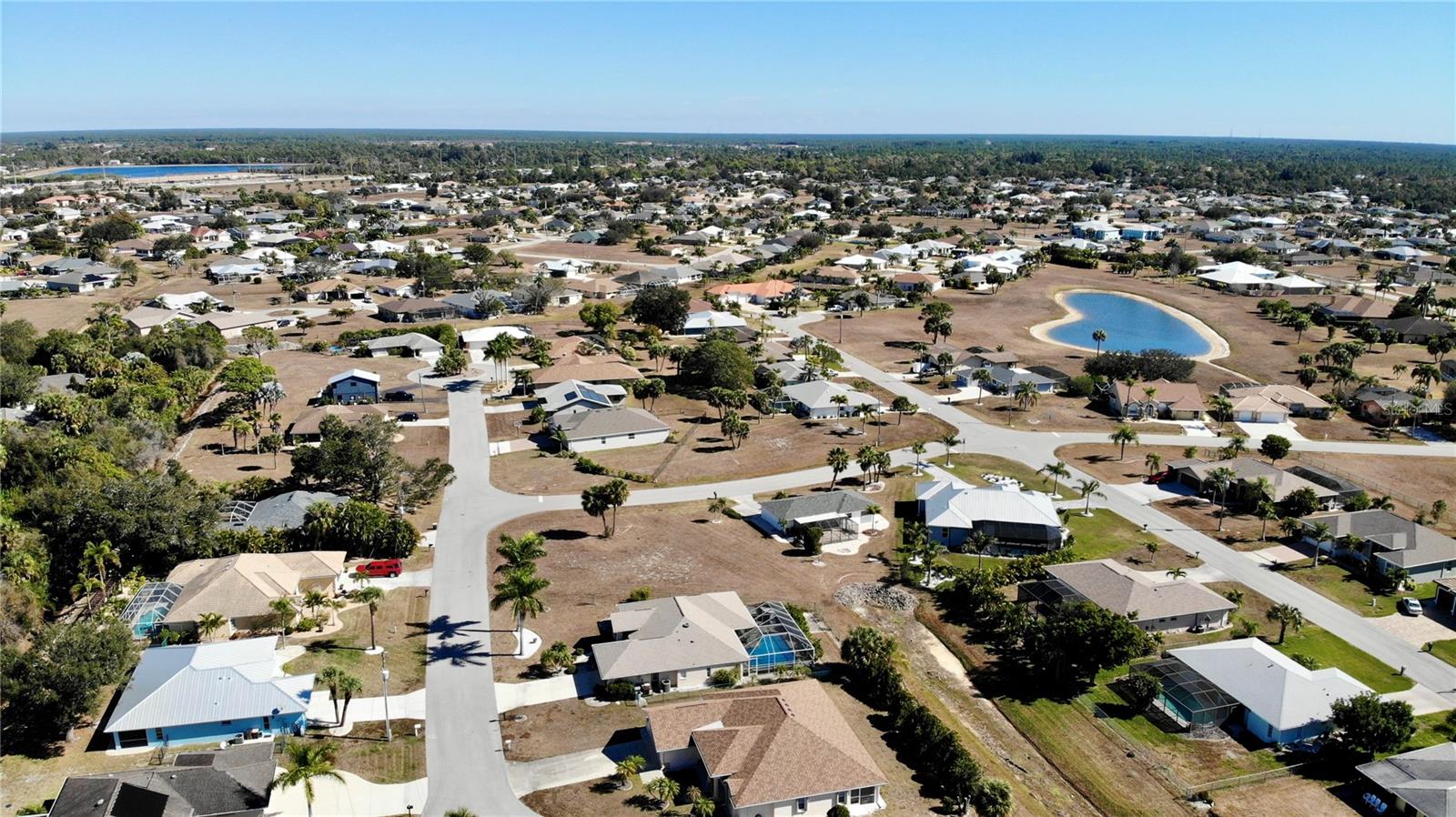 Image 38 of 44 For 528 Tabebuia Tree