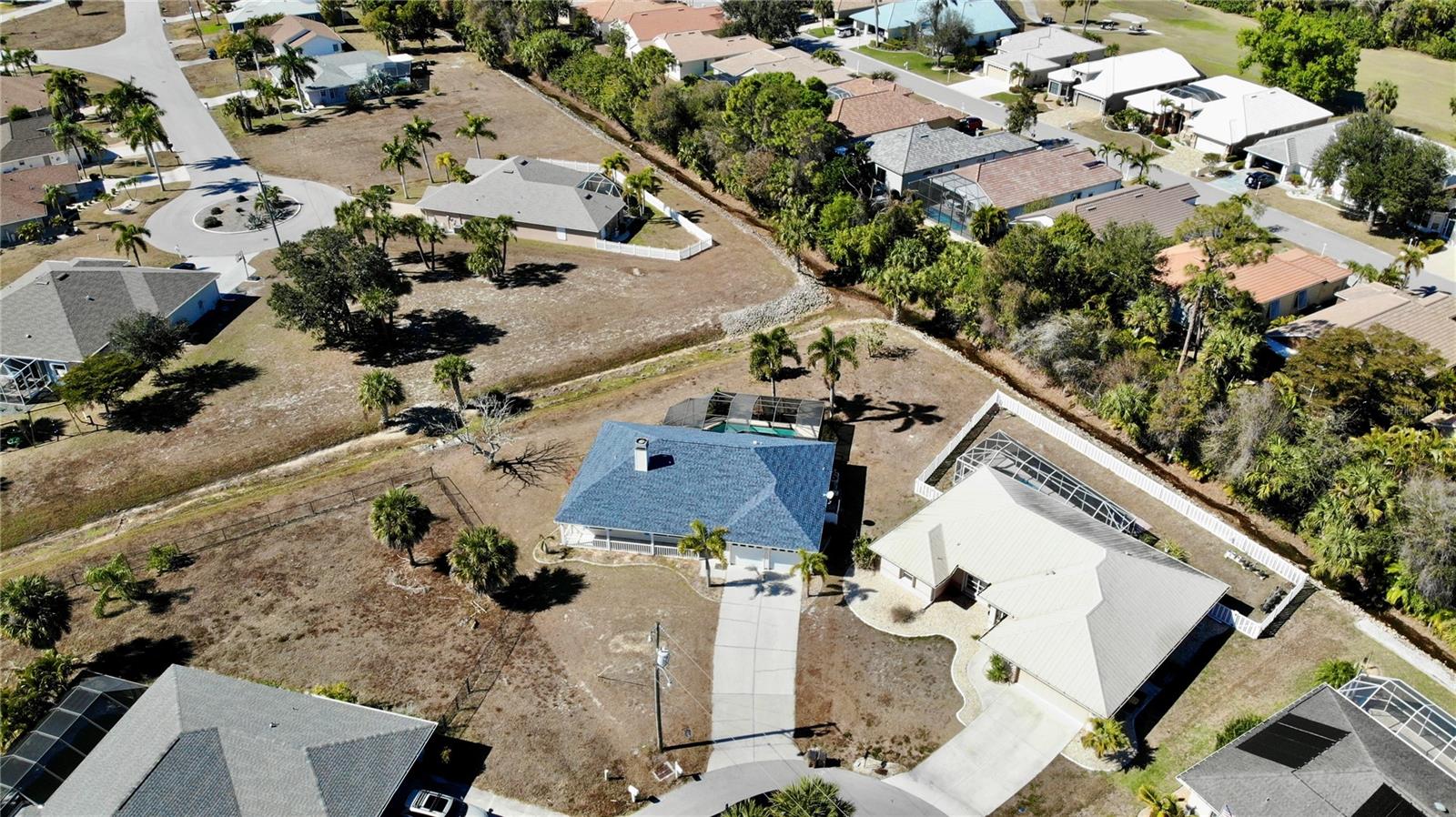 Image 39 of 44 For 528 Tabebuia Tree