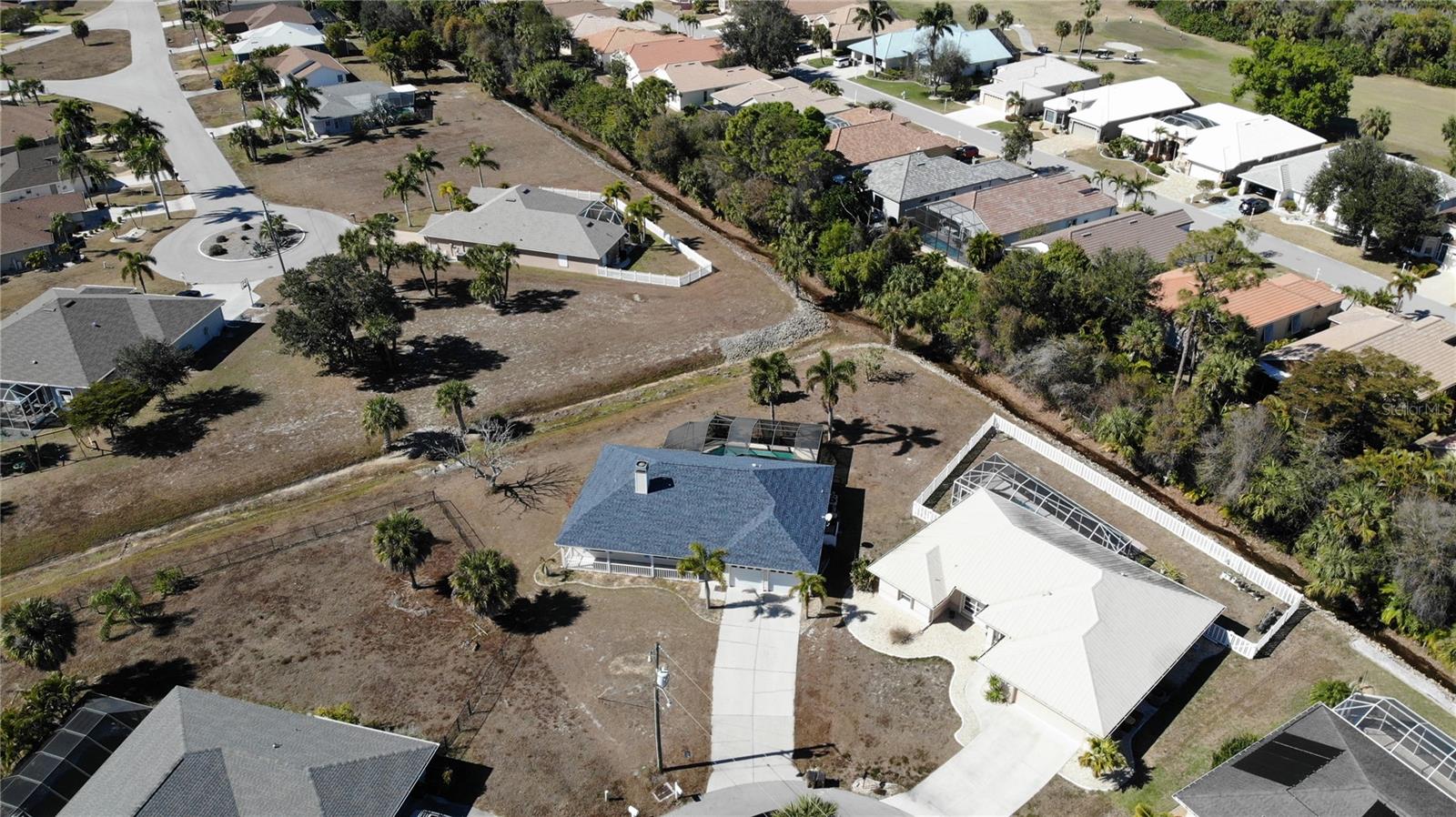 Image 40 of 44 For 528 Tabebuia Tree