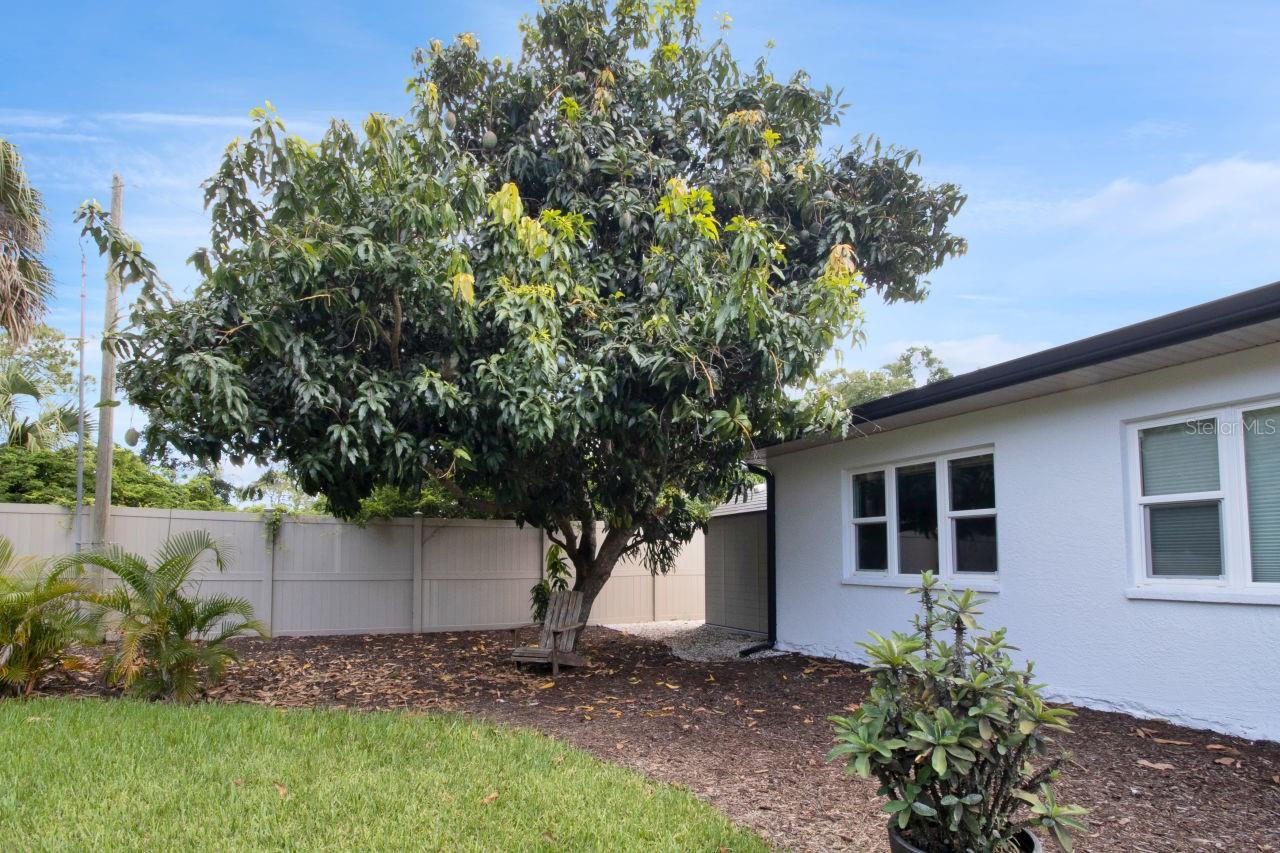 Image 47 of 57 For 1208 De Narvaez Avenue