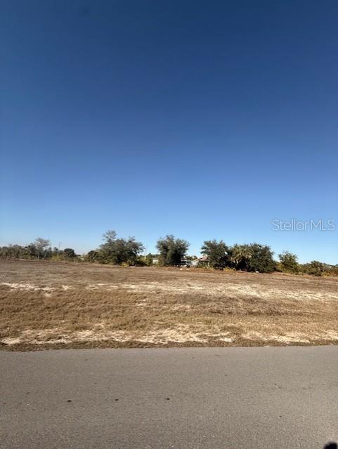 Listing Details for 1007 23rd Street, CAPE CORAL, FL 33909