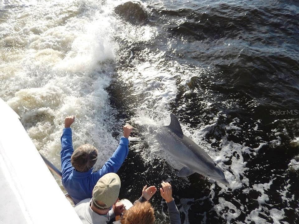 Image 64 of 79 For 2301 Via Veneto Drive