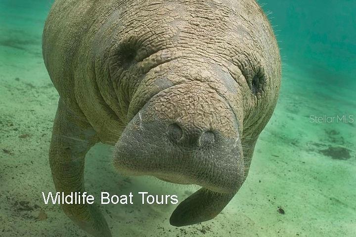 Image 79 of 79 For 2301 Via Veneto Drive