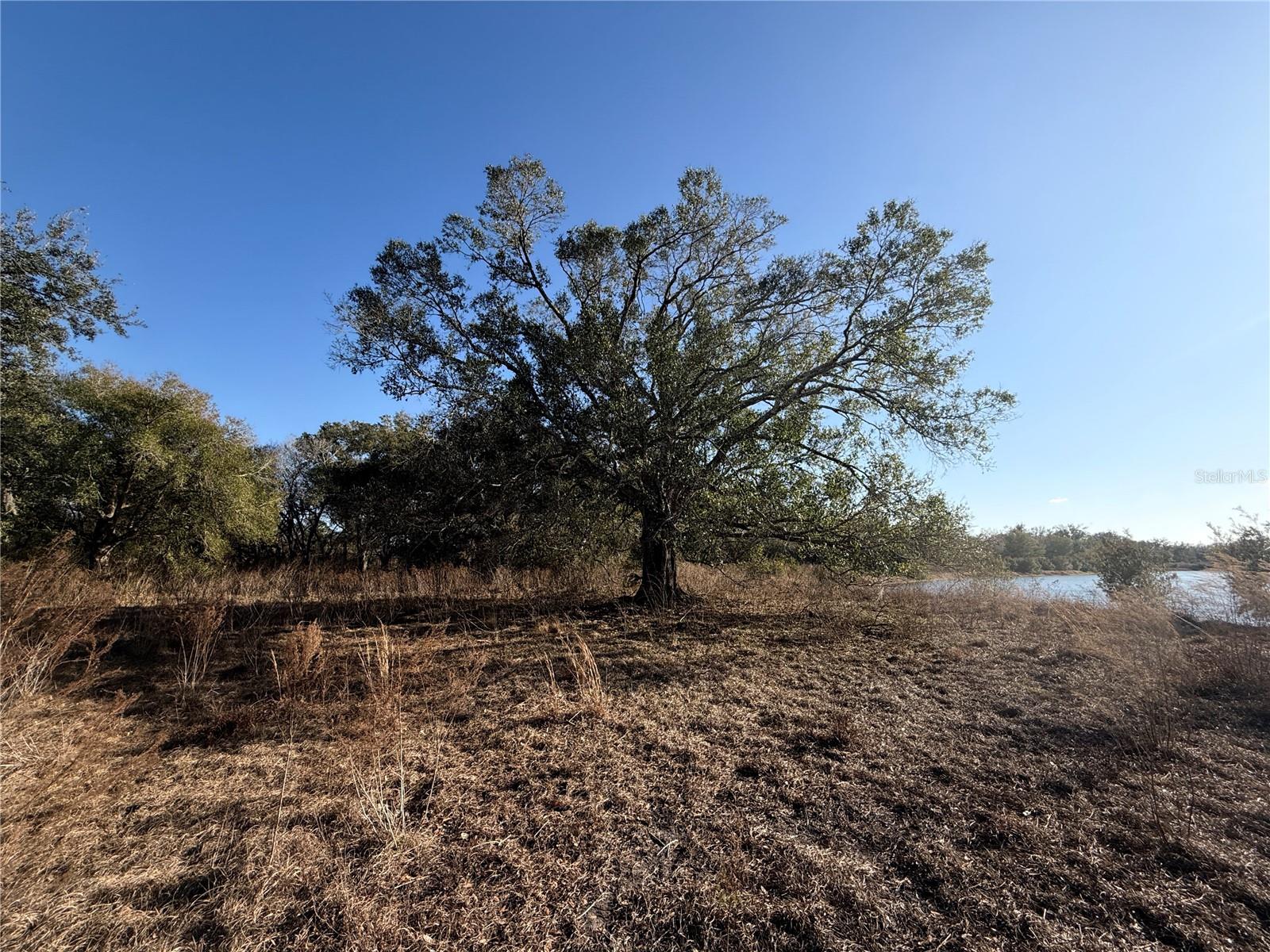 Image 10 of 26 For 100ac Ne Hwy 17