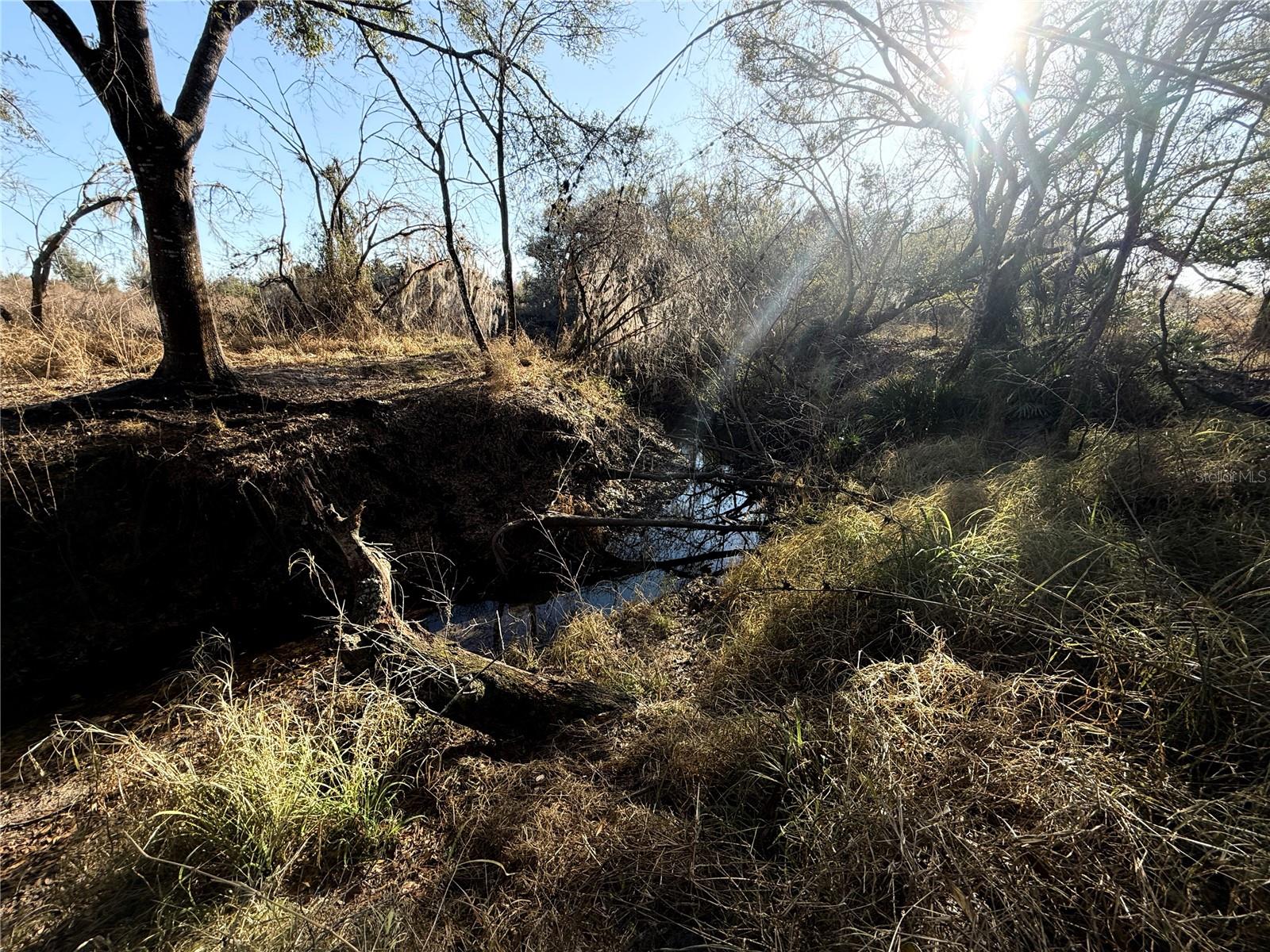 Image 11 of 26 For 100ac Ne Hwy 17
