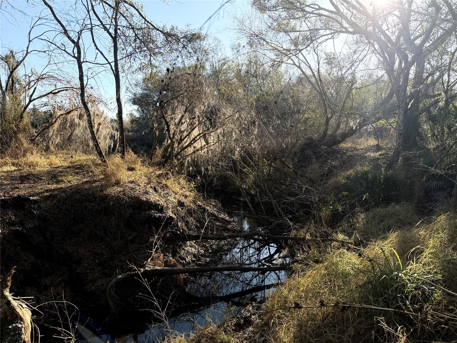 Image 12 of 26 For 100ac Ne Hwy 17