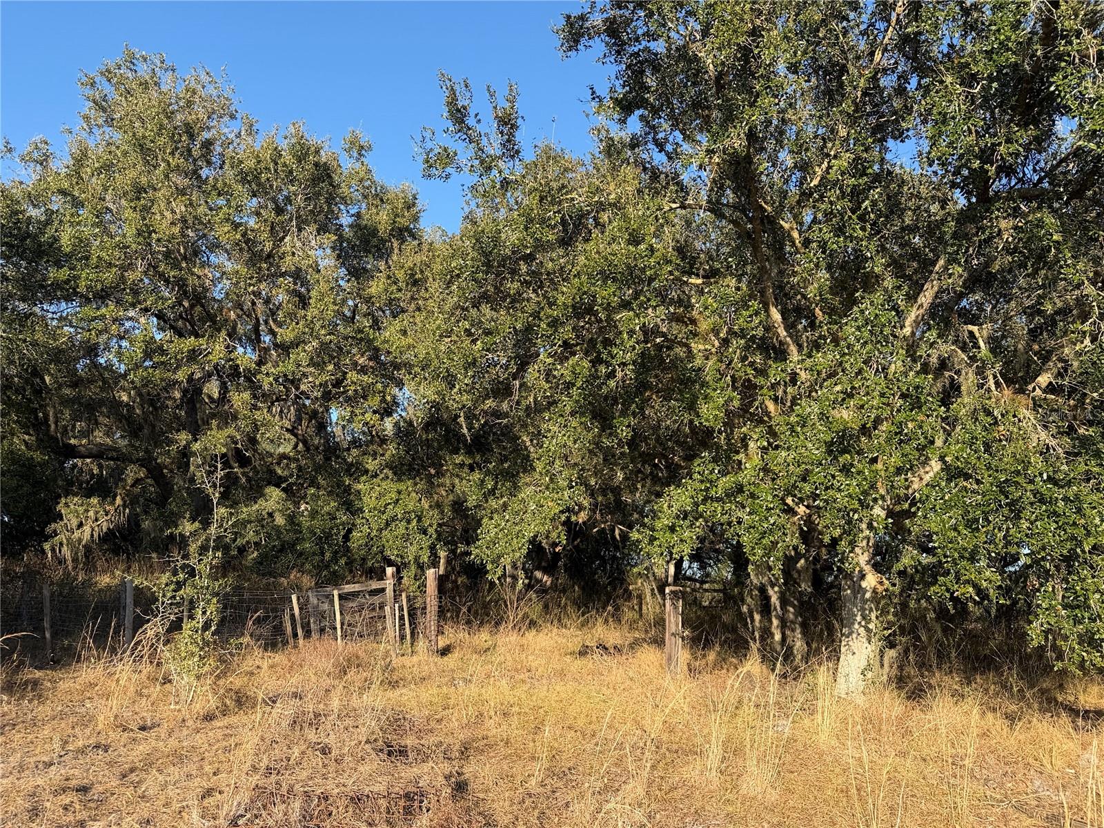 Image 13 of 26 For 100ac Ne Hwy 17