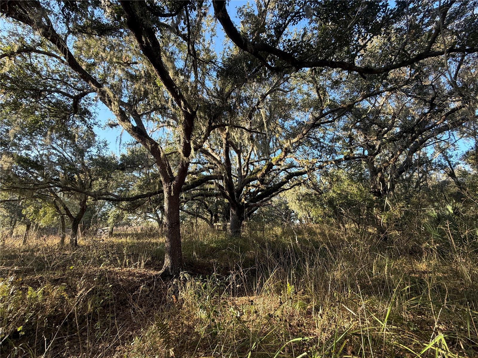 Image 14 of 26 For 100ac Ne Hwy 17