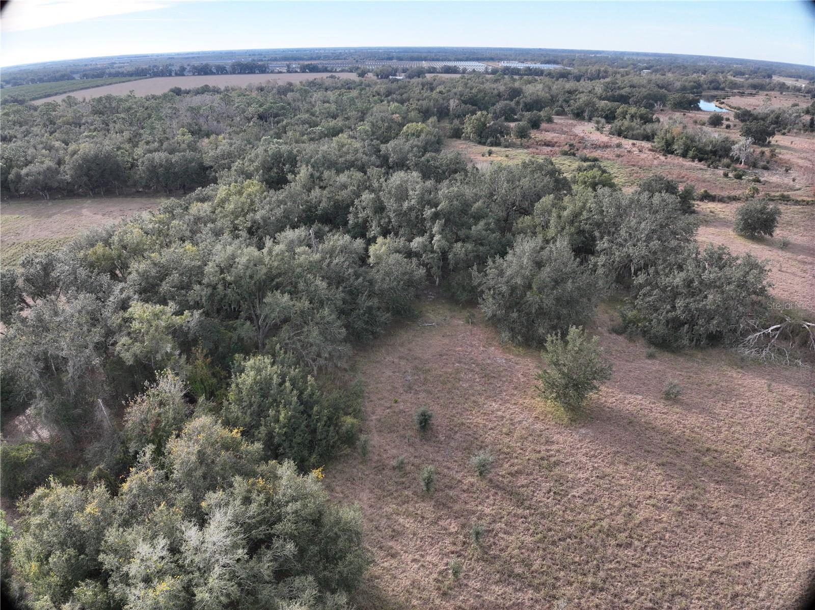 Image 21 of 26 For 100ac Ne Hwy 17