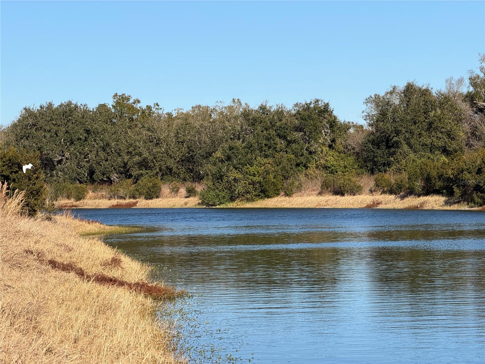 Image 3 of 26 For 100ac Ne Hwy 17