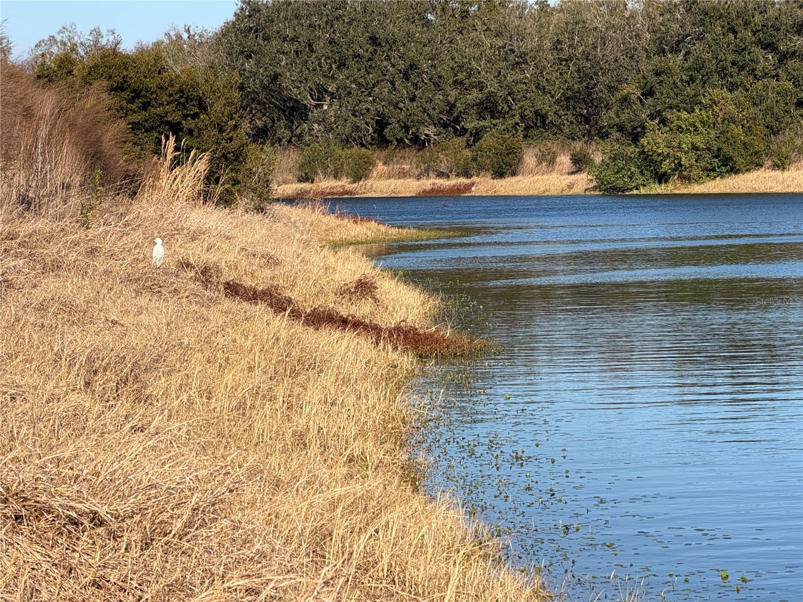 Image 4 of 26 For 100ac Ne Hwy 17