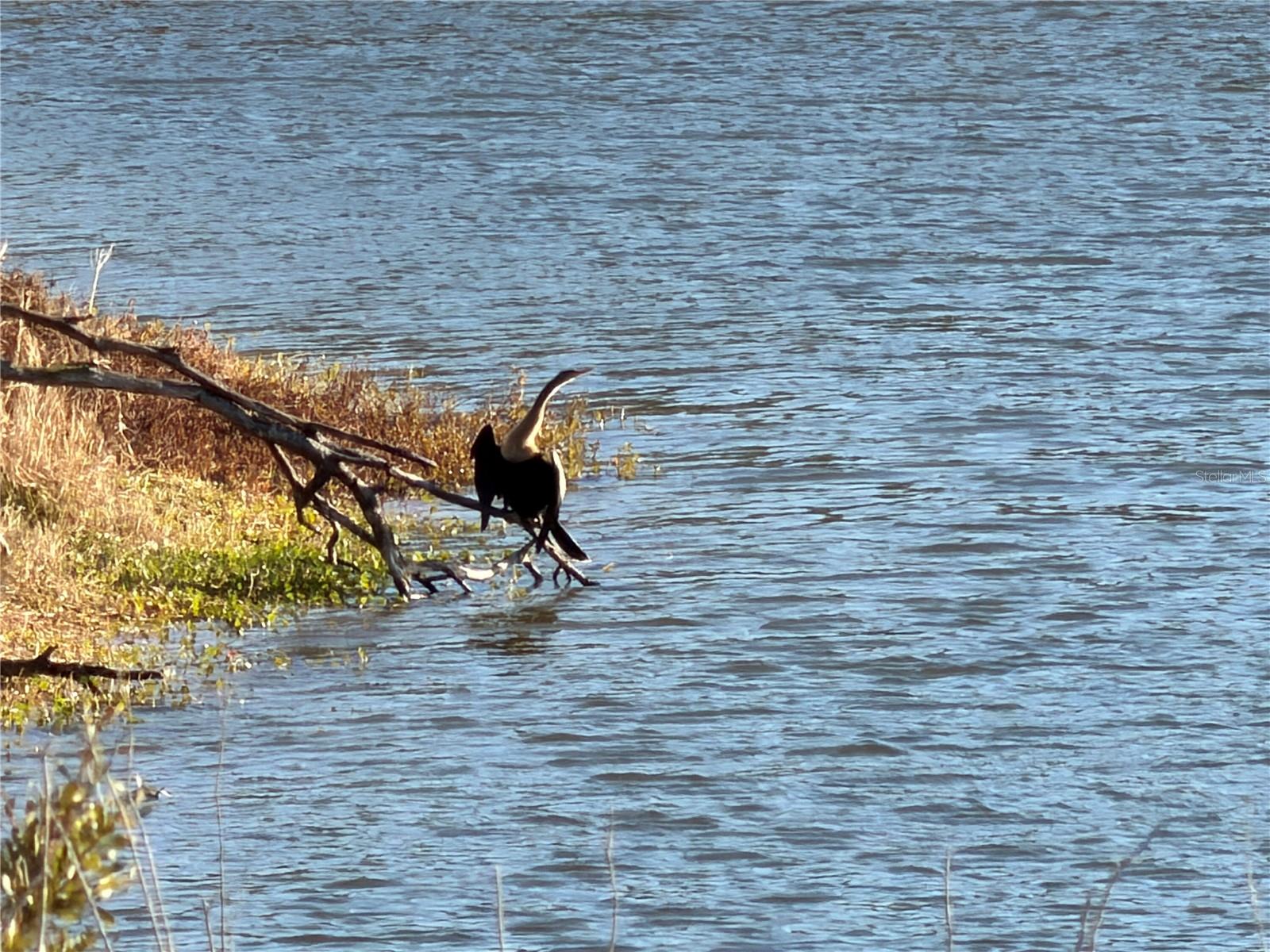 Image 7 of 26 For 100ac Ne Hwy 17