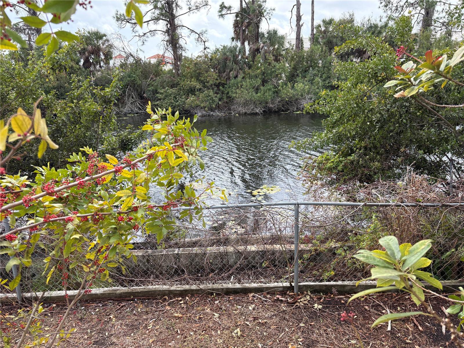 Image 4 of 62 For 4041 Barbary Lane