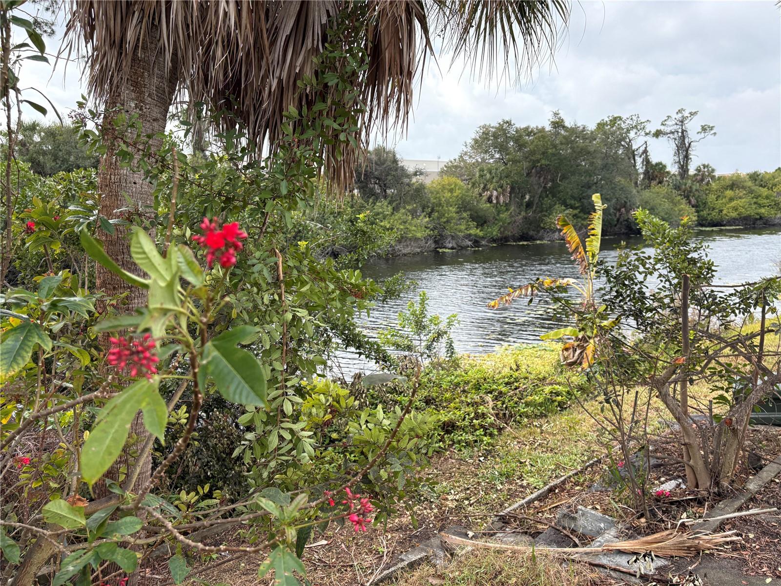 Image 41 of 62 For 4041 Barbary Lane