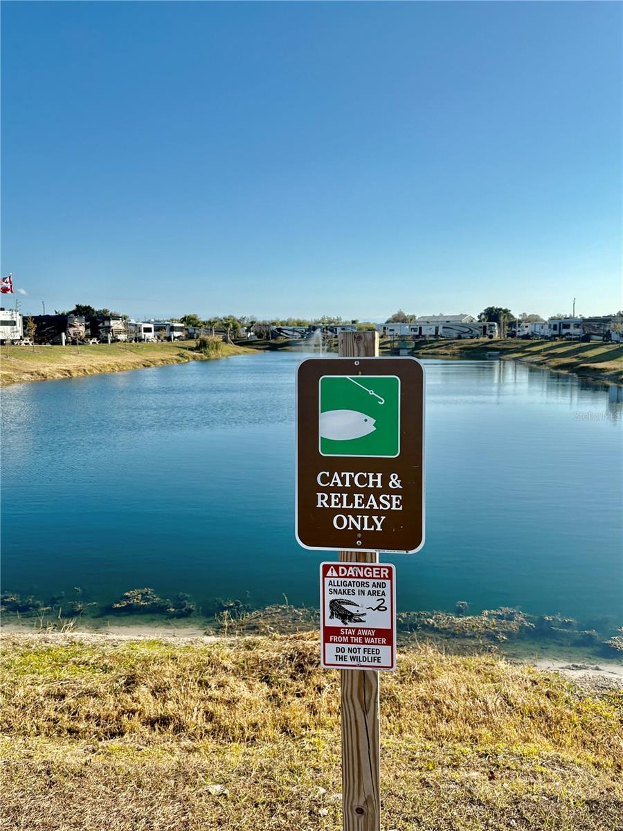 Image 26 of 32 For 259 Horizon Road