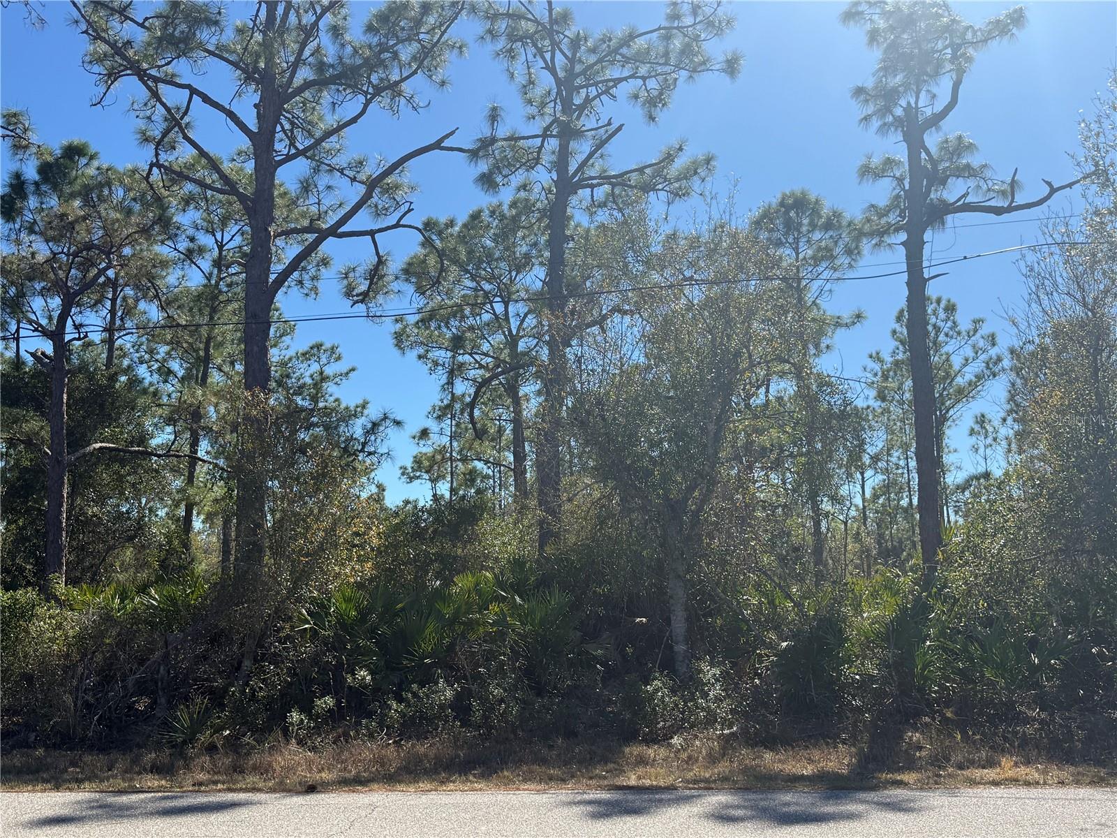 Listing Details for 23277 Airway Avenue, PUNTA GORDA, FL 33980