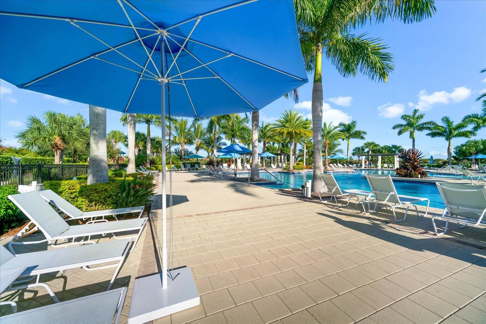 Image 62 of 72 For 10812 Tarflower Drive 201