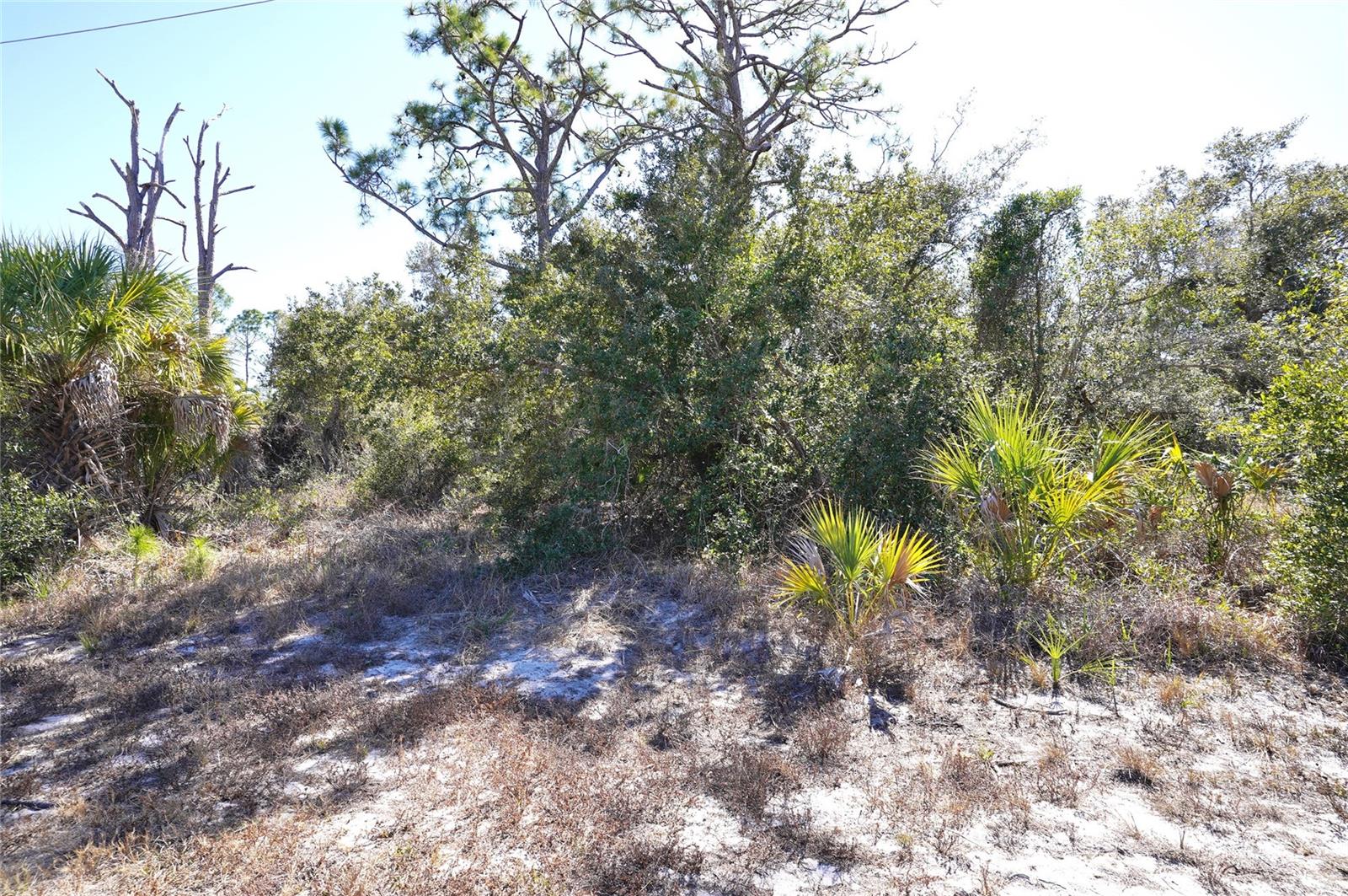 Image 3 of 26 For 17129 Wintergarden Avenue