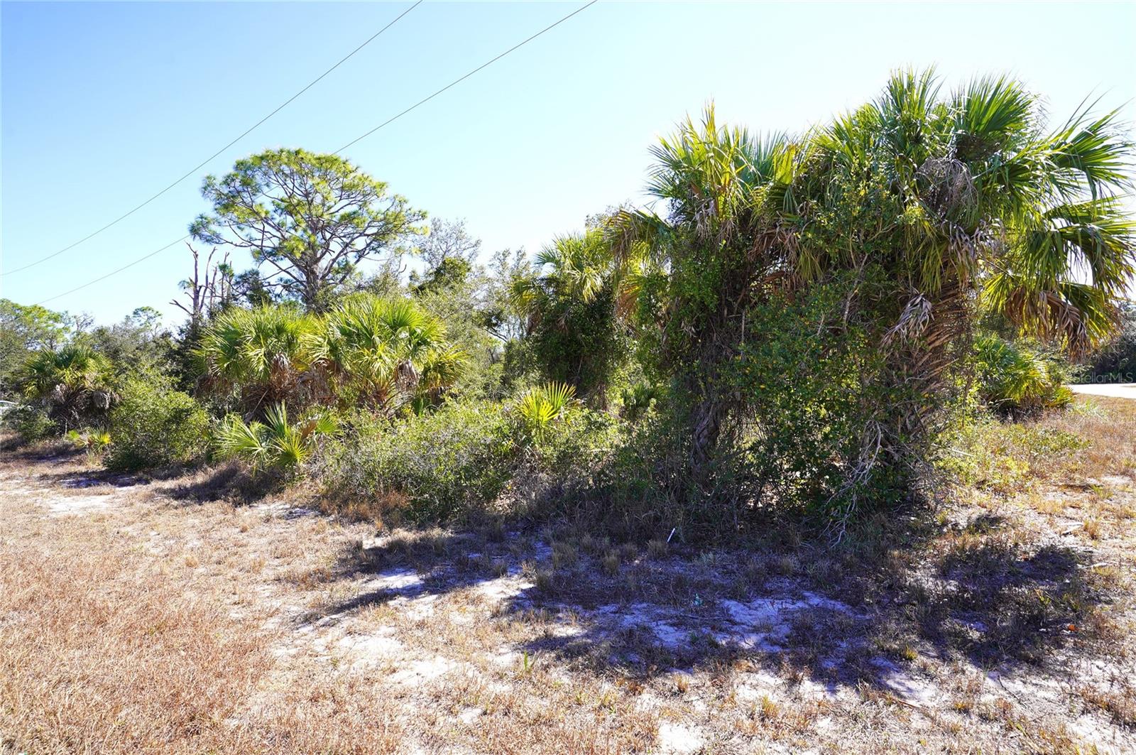 Image 4 of 26 For 17129 Wintergarden Avenue