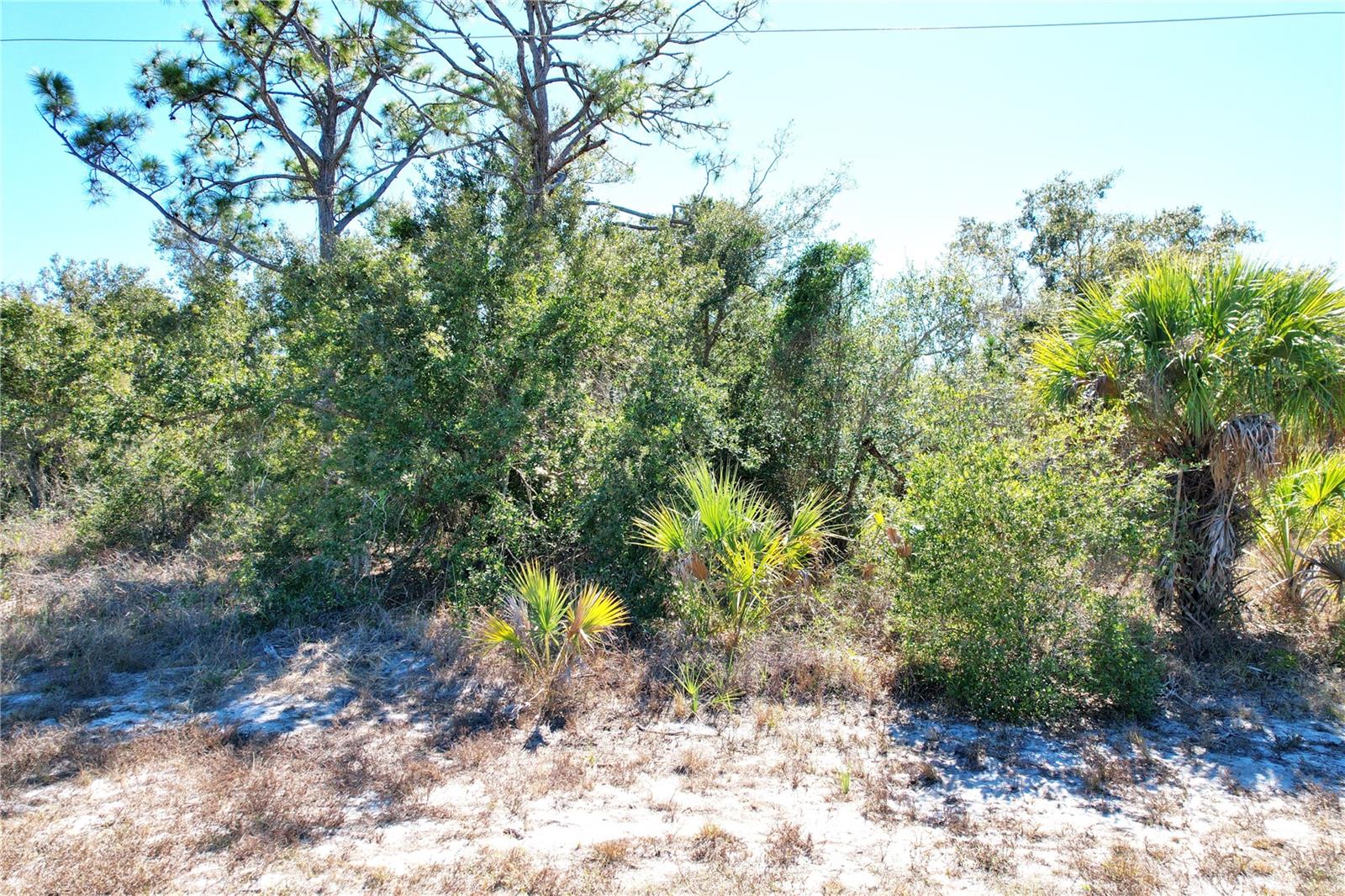 Image 6 of 26 For 17129 Wintergarden Avenue