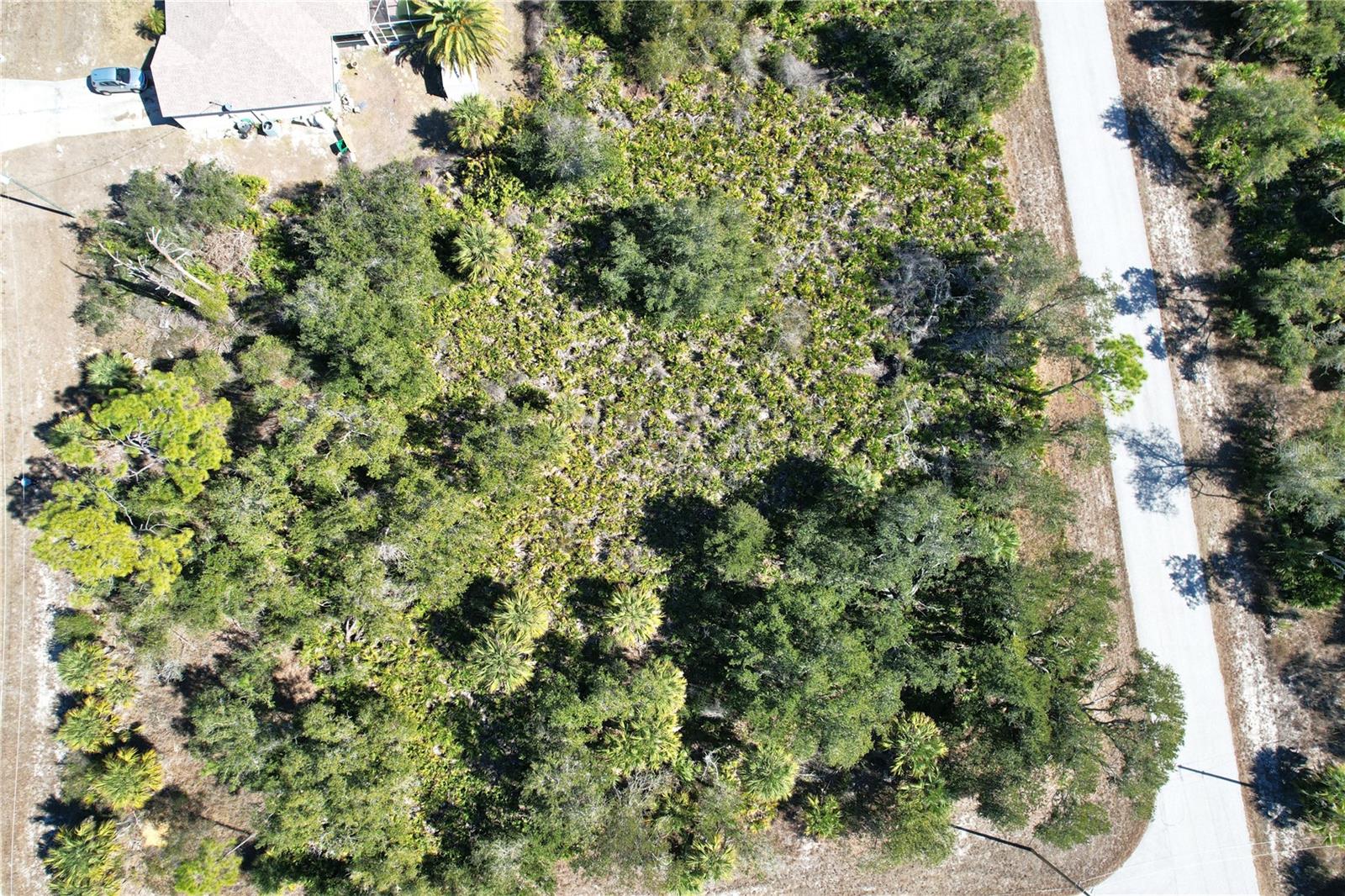 Image 9 of 26 For 17129 Wintergarden Avenue