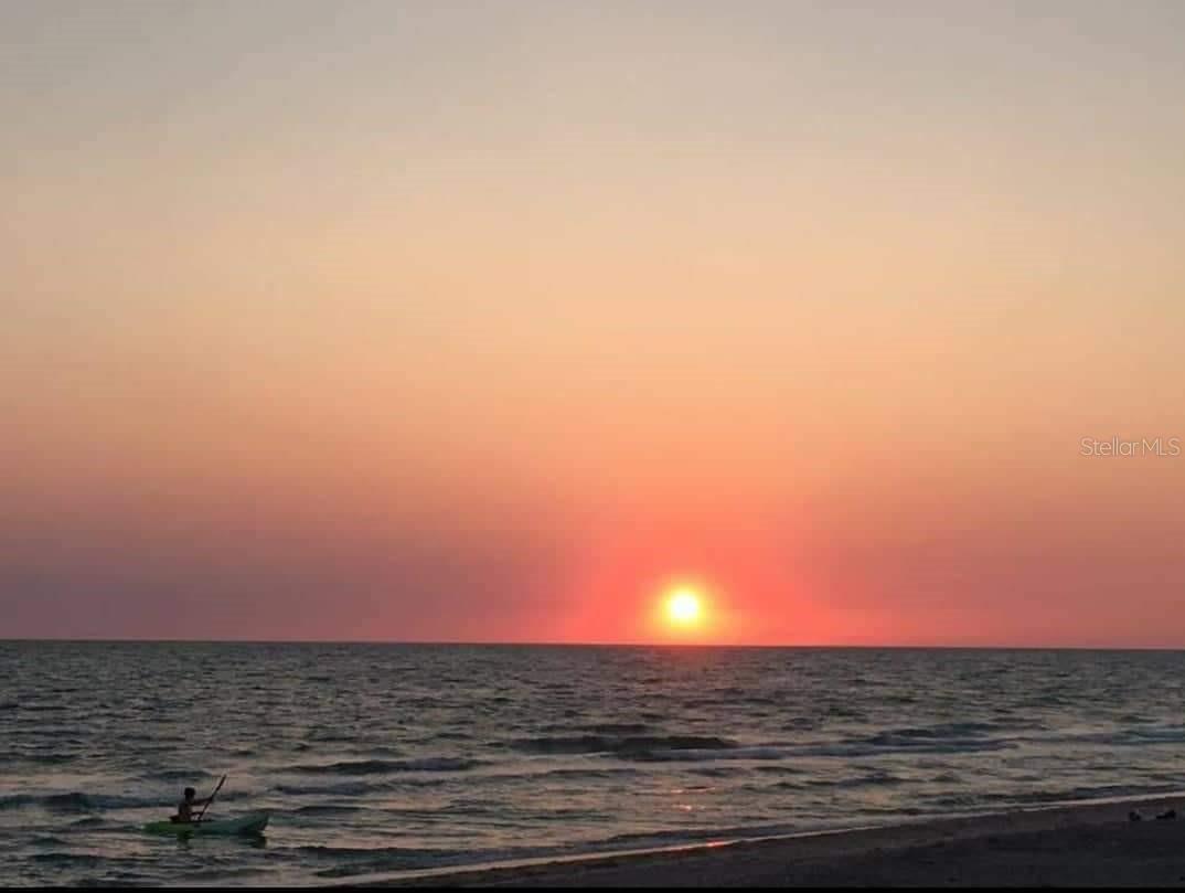 Image 19 of 25 For Sedberry Avenue