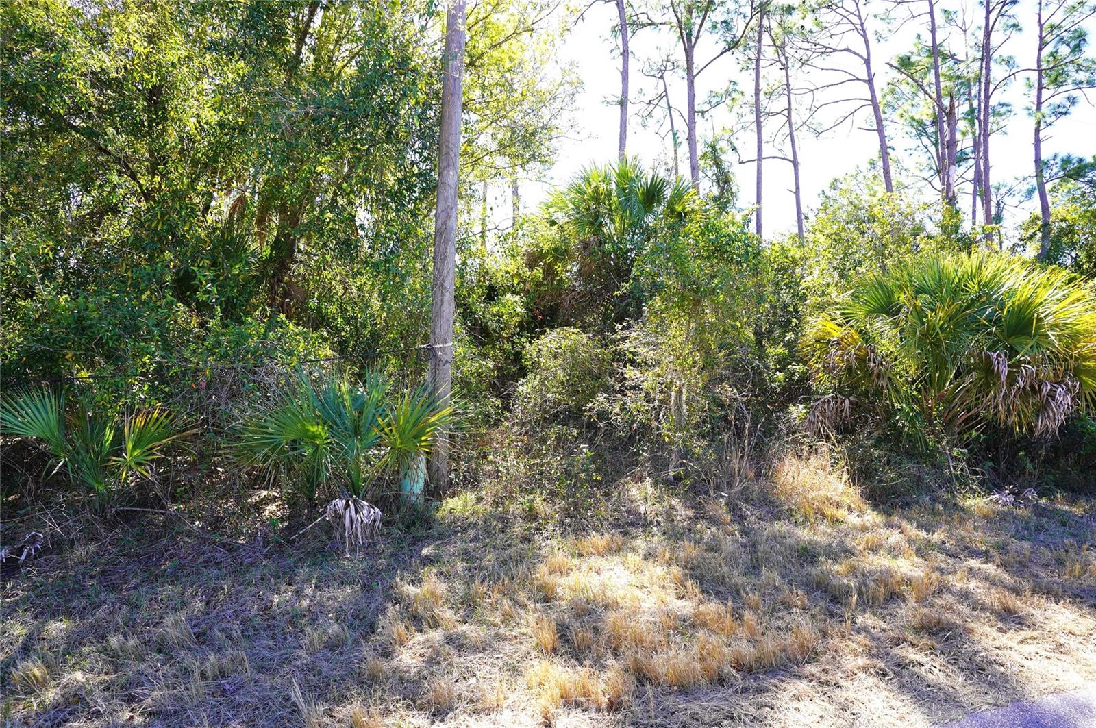 Image 2 of 25 For Sedberry Avenue