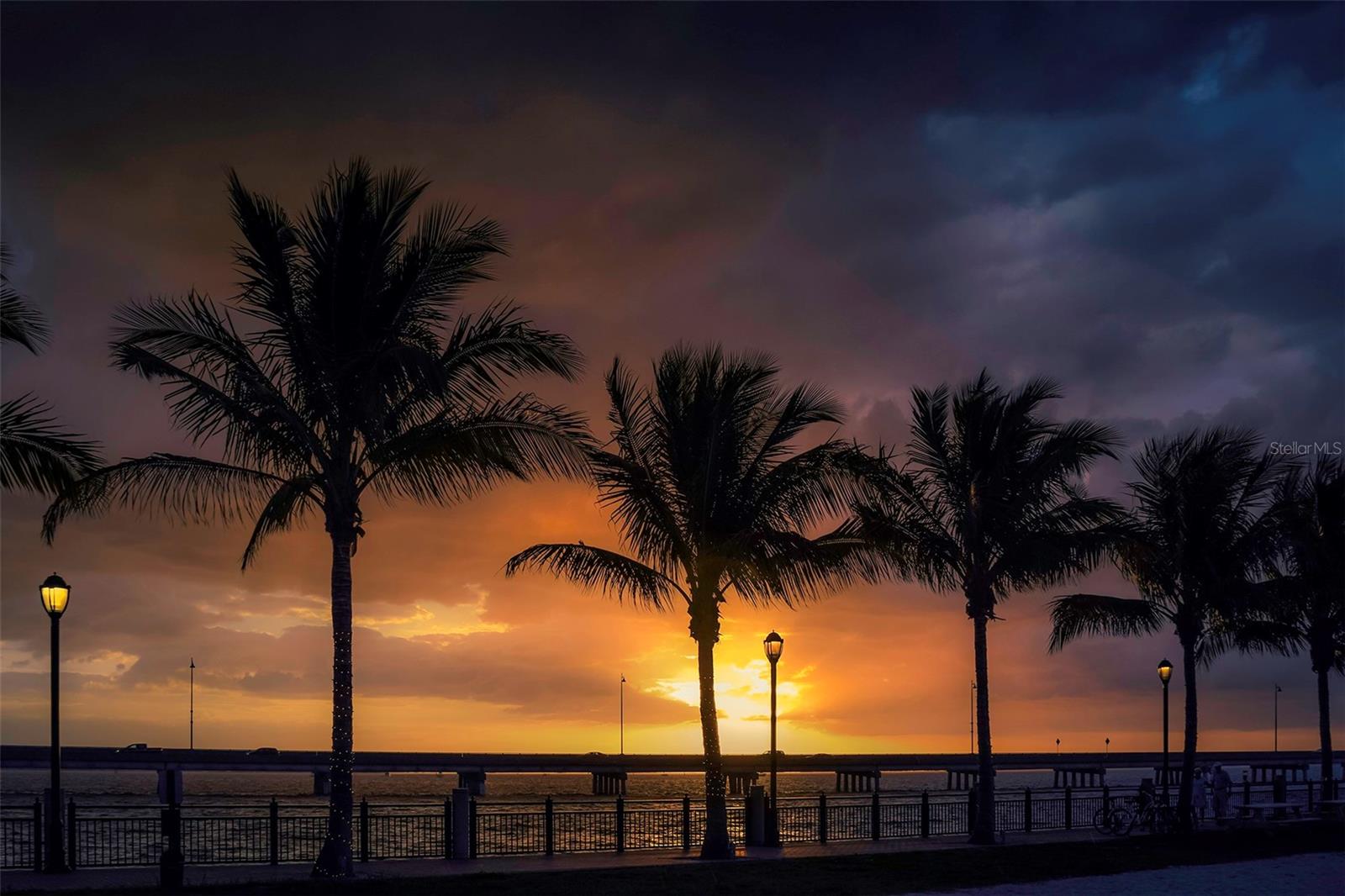 Image 22 of 25 For Sedberry Avenue