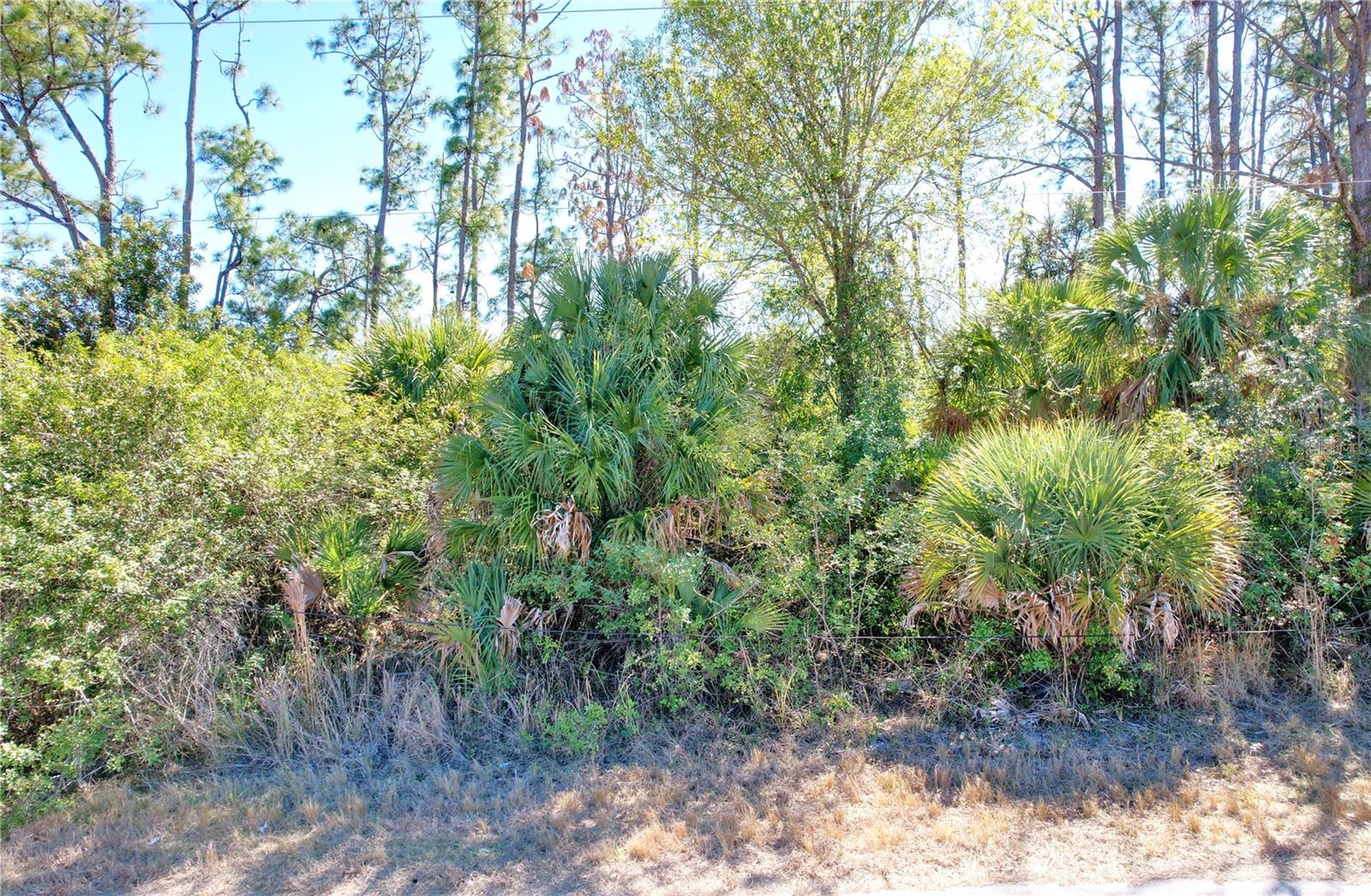 Image 4 of 25 For Sedberry Avenue