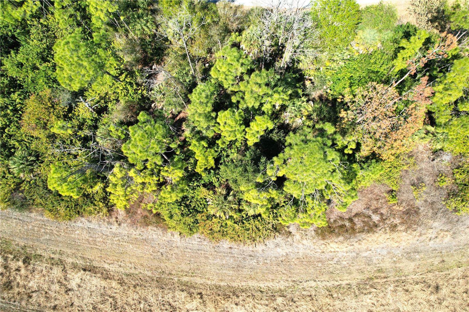 Image 7 of 25 For Sedberry Avenue