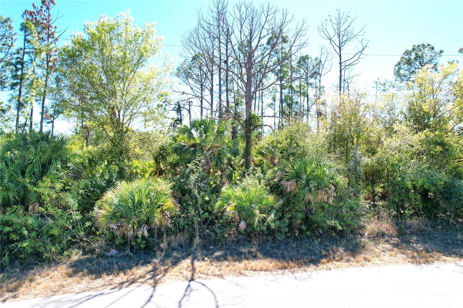 Image 9 of 25 For Sedberry Avenue