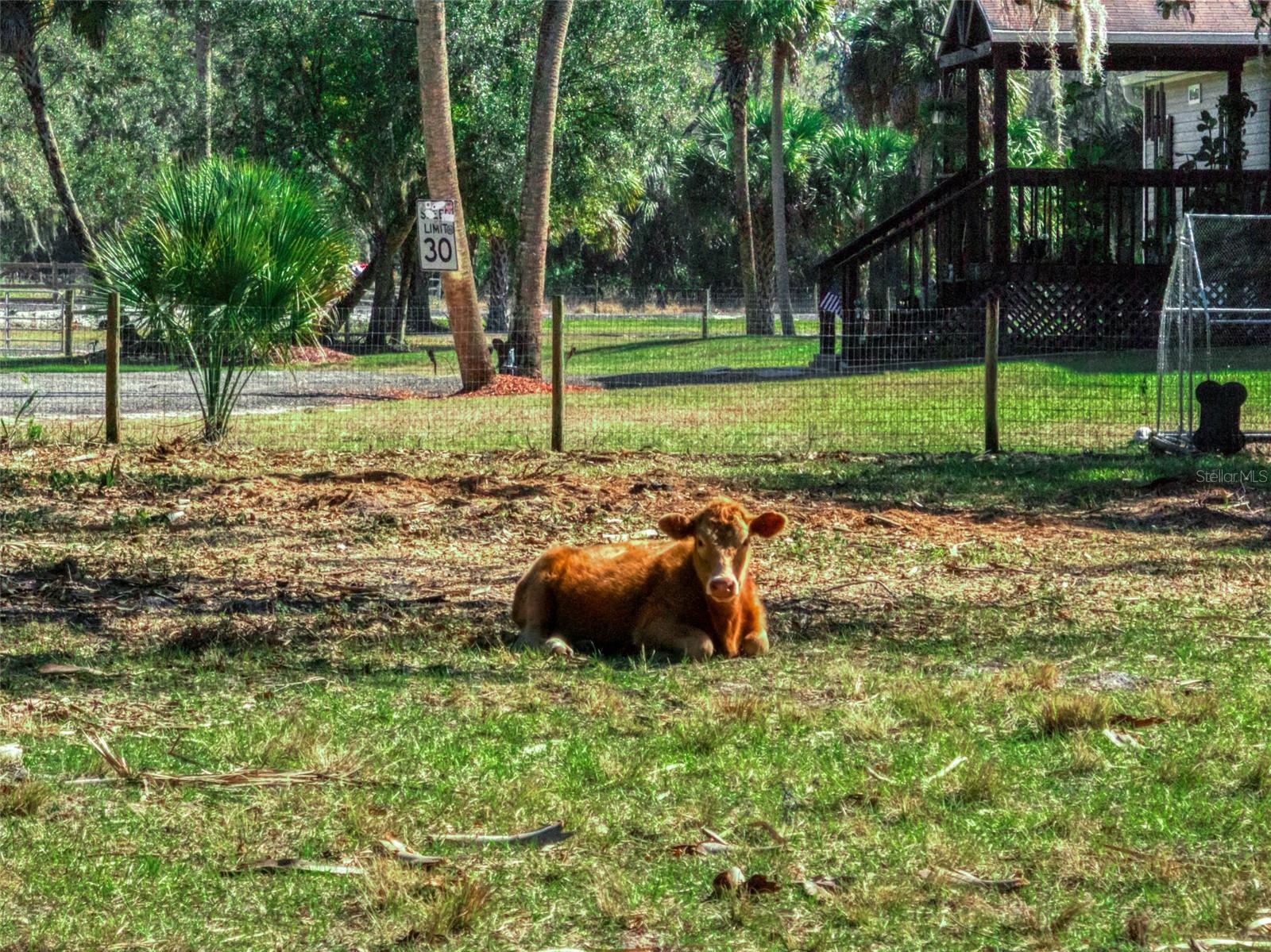 Image 24 of 39 For 15405 Old Parker Island Road