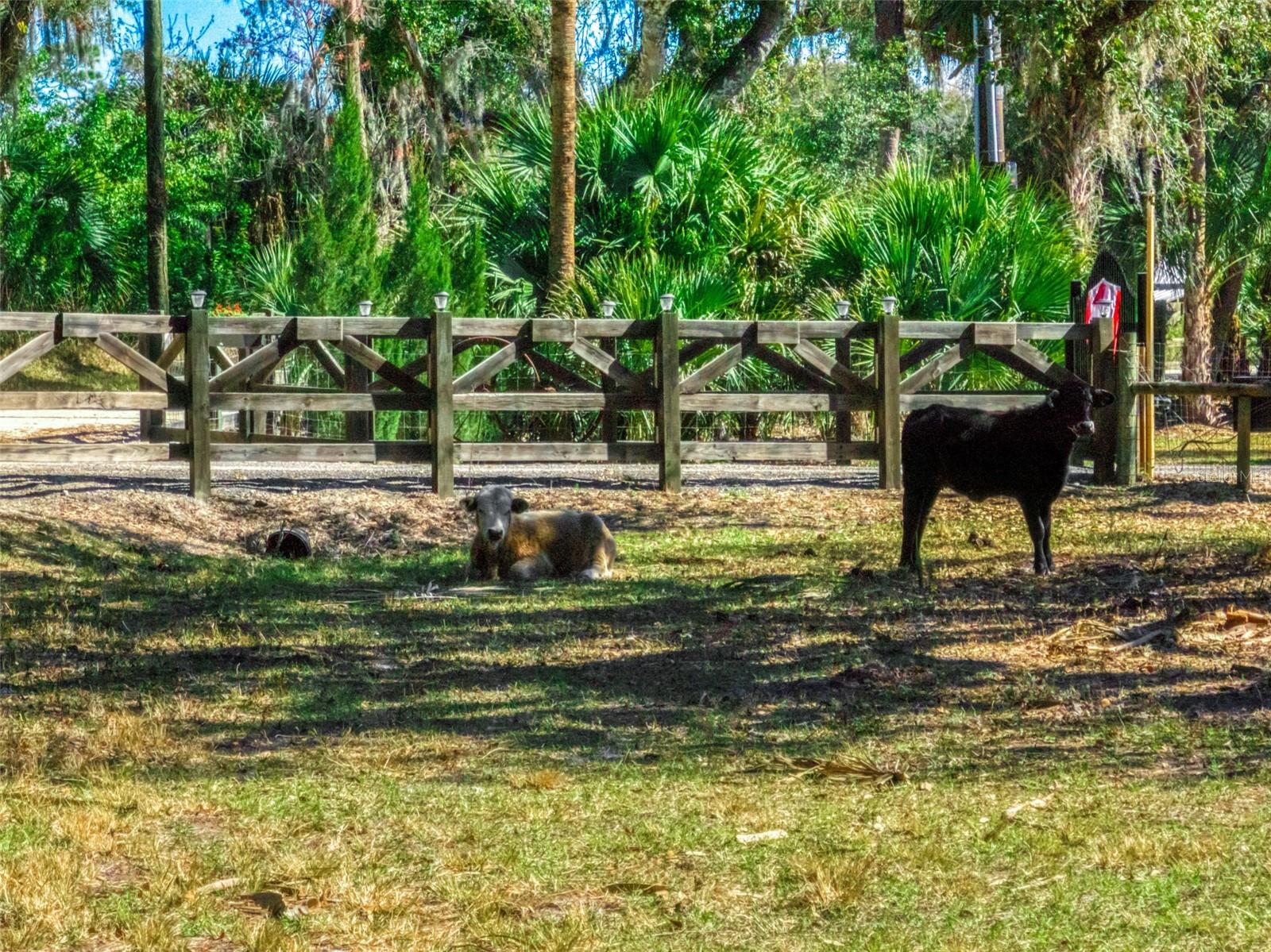 Image 25 of 39 For 15405 Old Parker Island Road