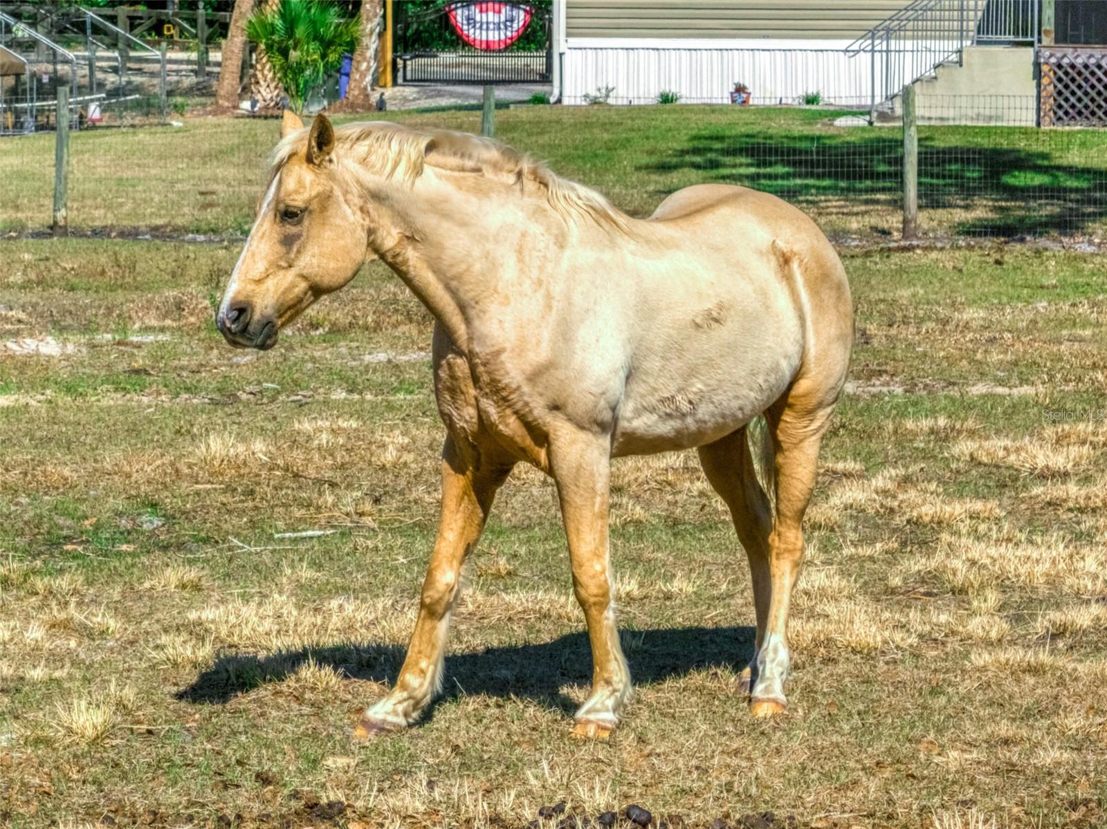 Image 27 of 39 For 15405 Old Parker Island Road