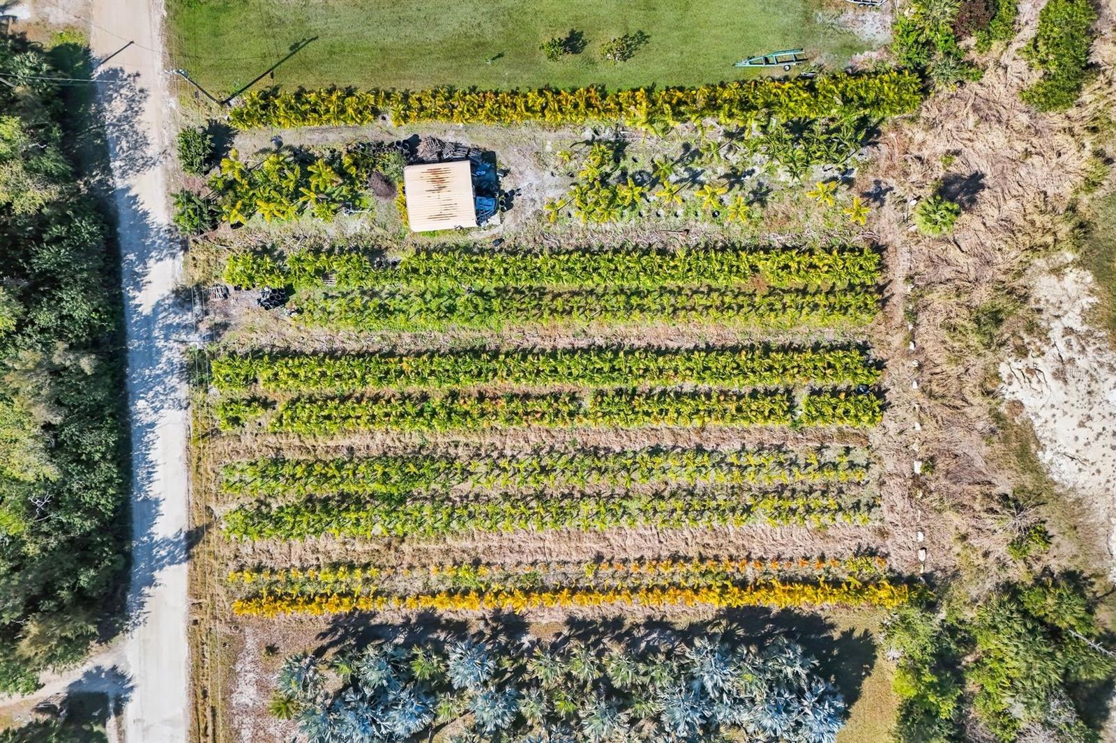 Image 9 of 11 For 4442 Courtney Road