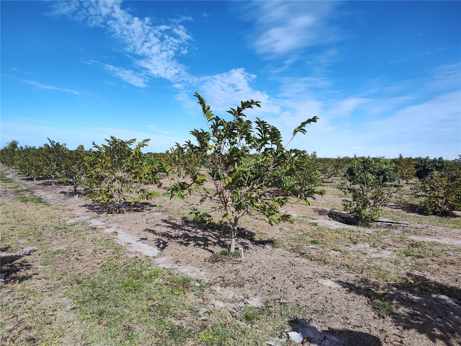 Image 10 of 30 For Address Not Provided