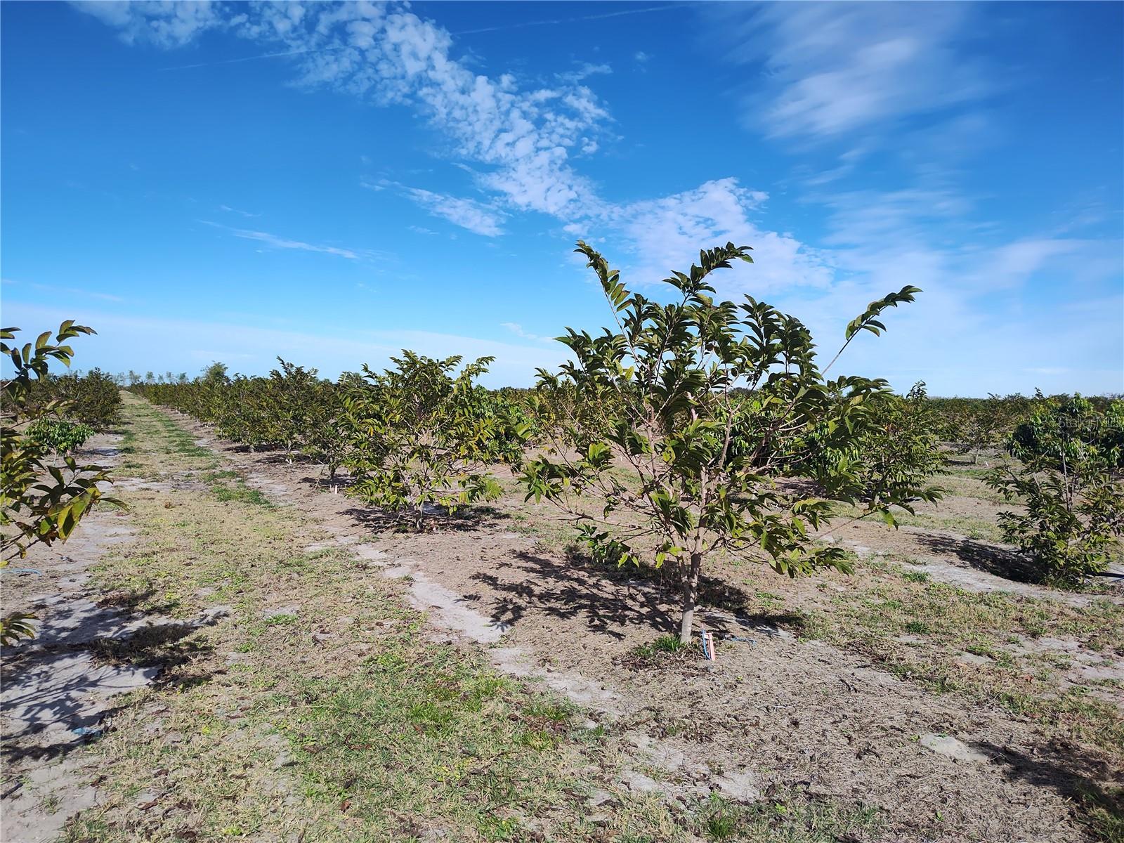 Image 11 of 30 For Address Not Provided