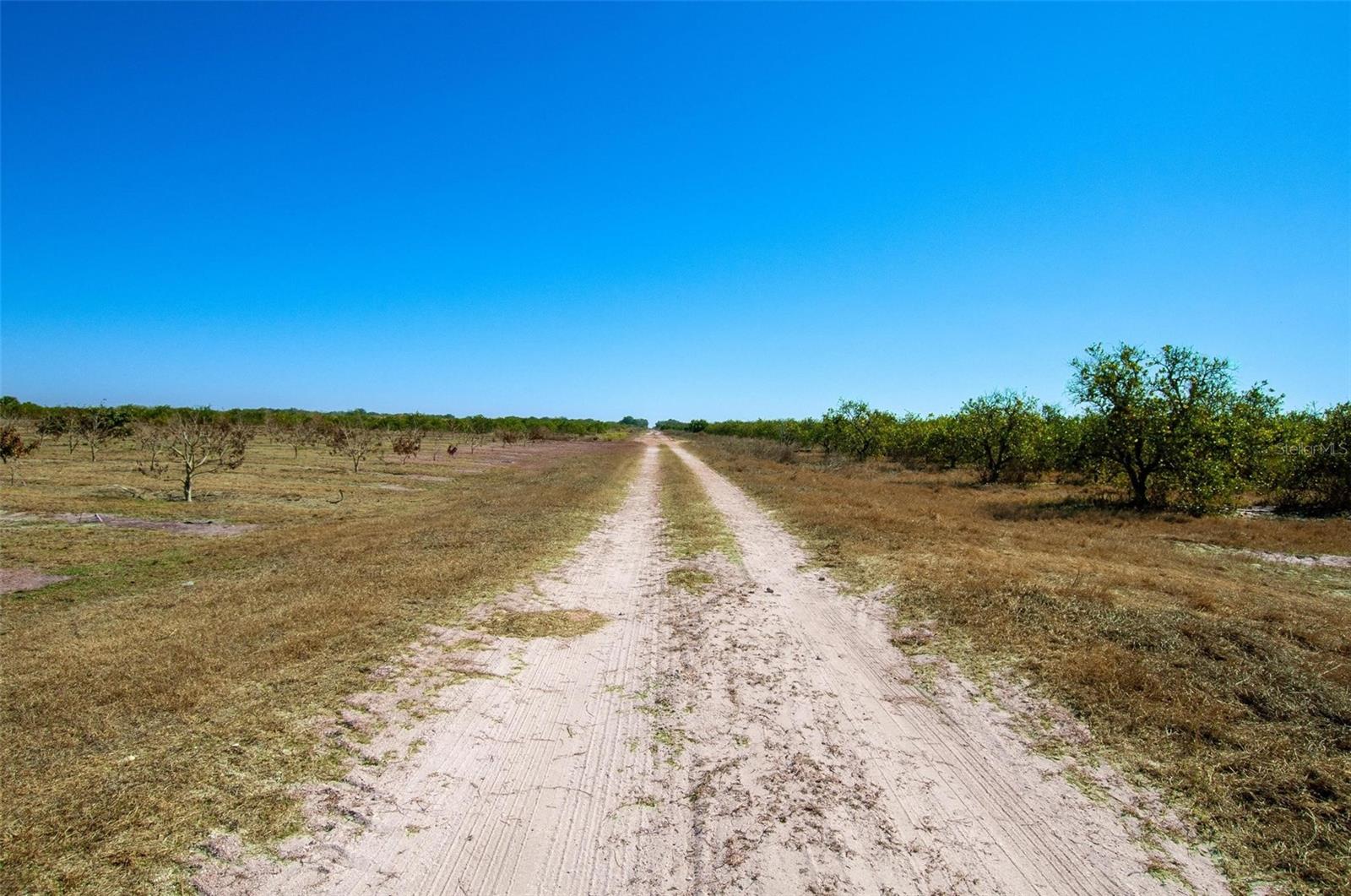 Image 12 of 30 For Address Not Provided