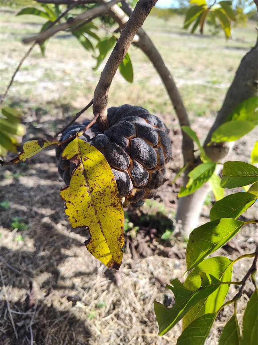 Image 14 of 30 For Address Not Provided