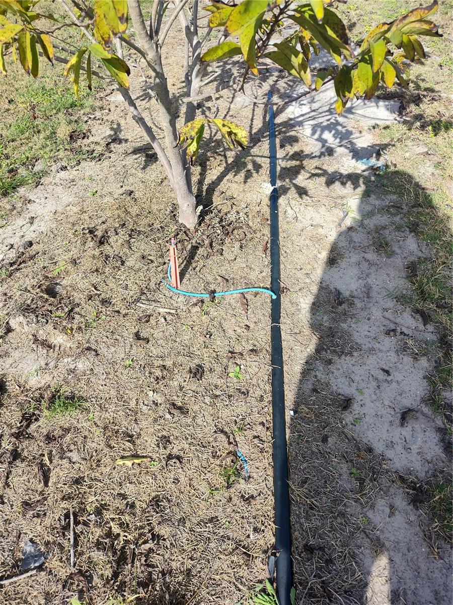 Image 15 of 30 For Address Not Provided