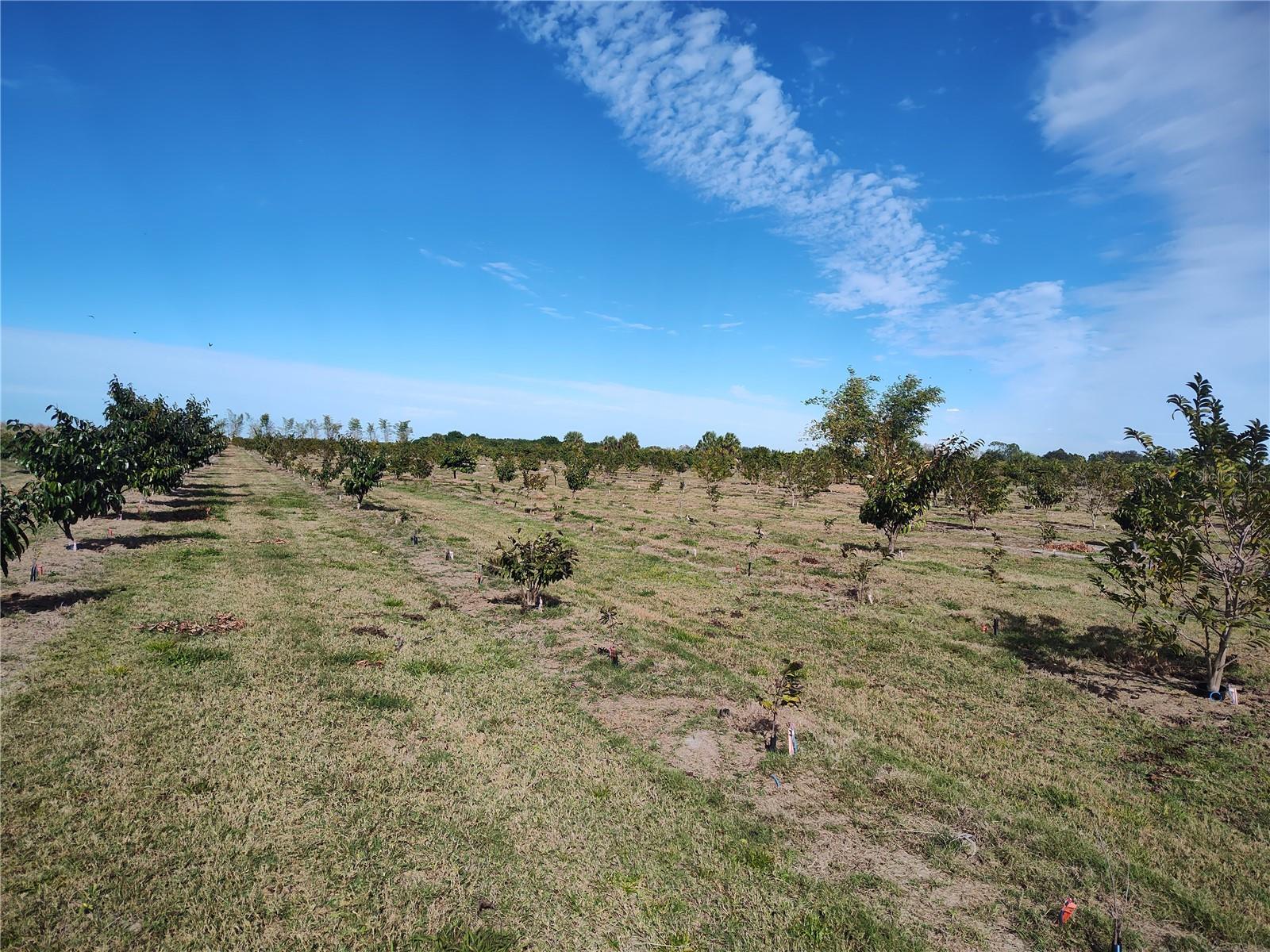 Image 16 of 30 For Address Not Provided