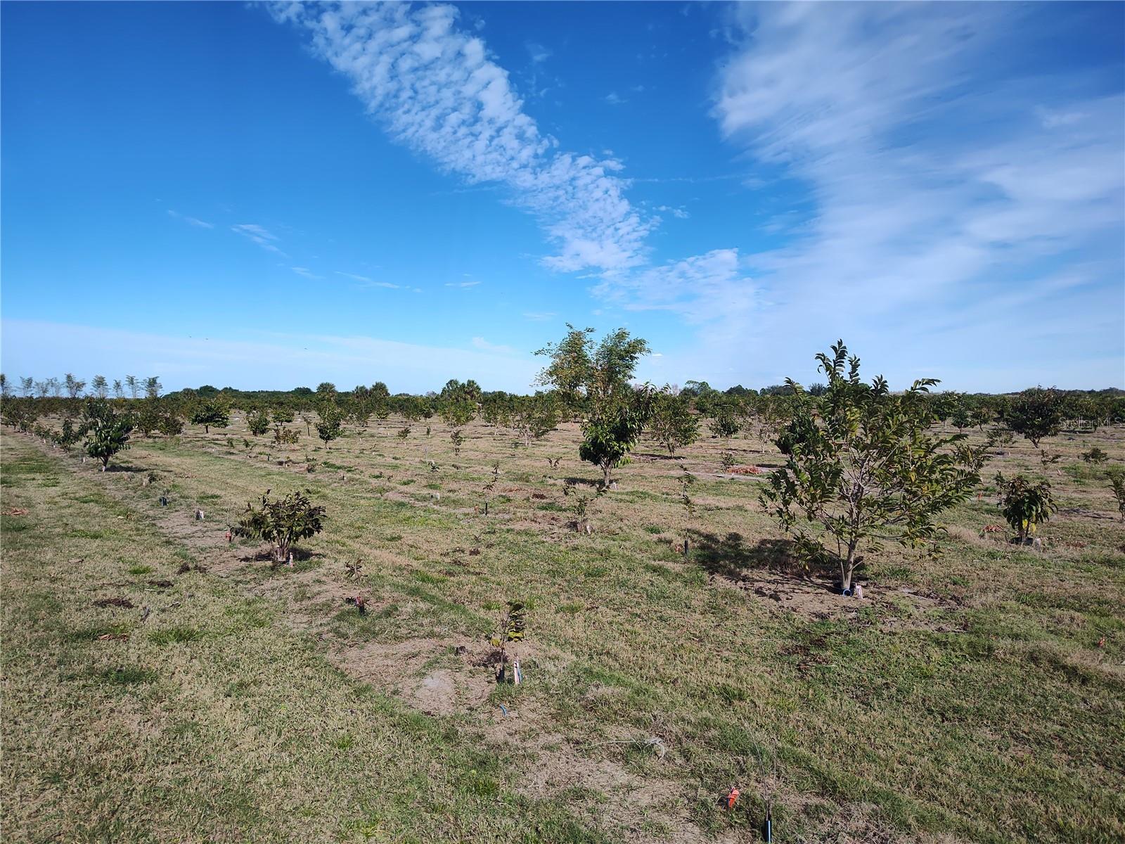 Image 17 of 30 For Address Not Provided