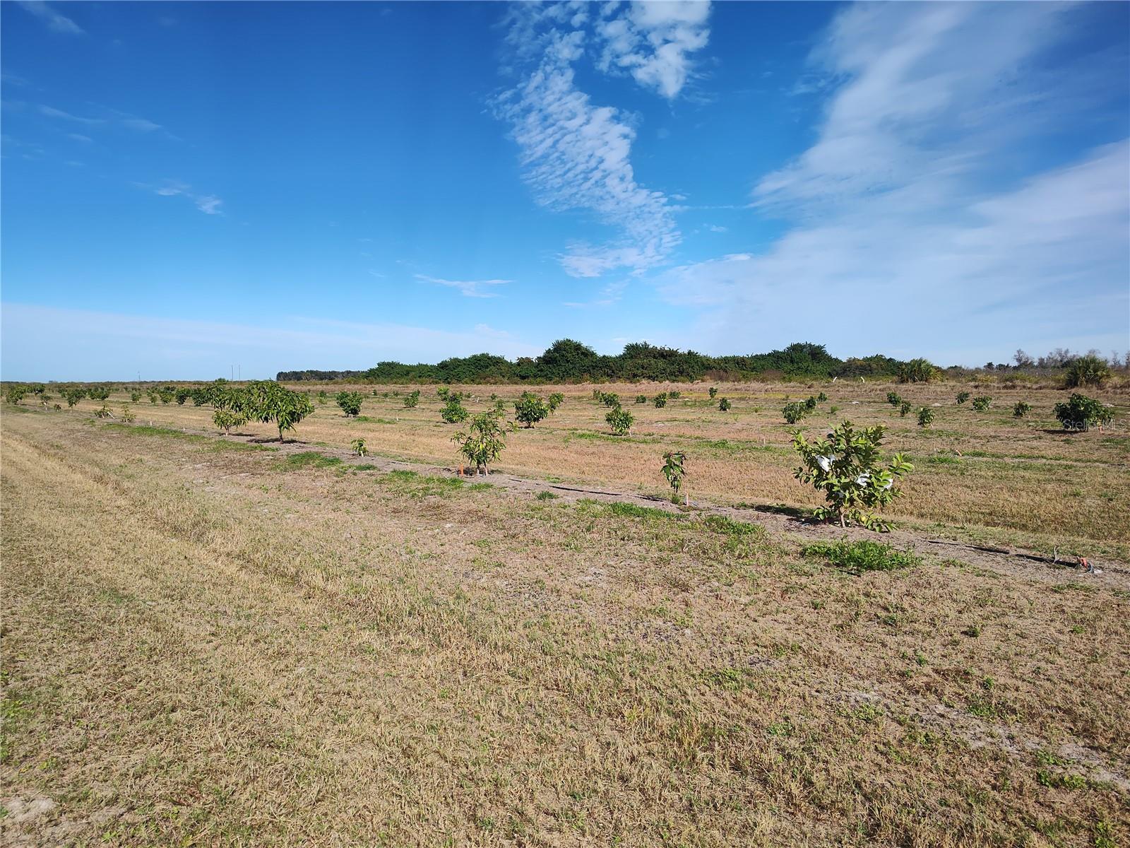 Image 18 of 30 For Address Not Provided