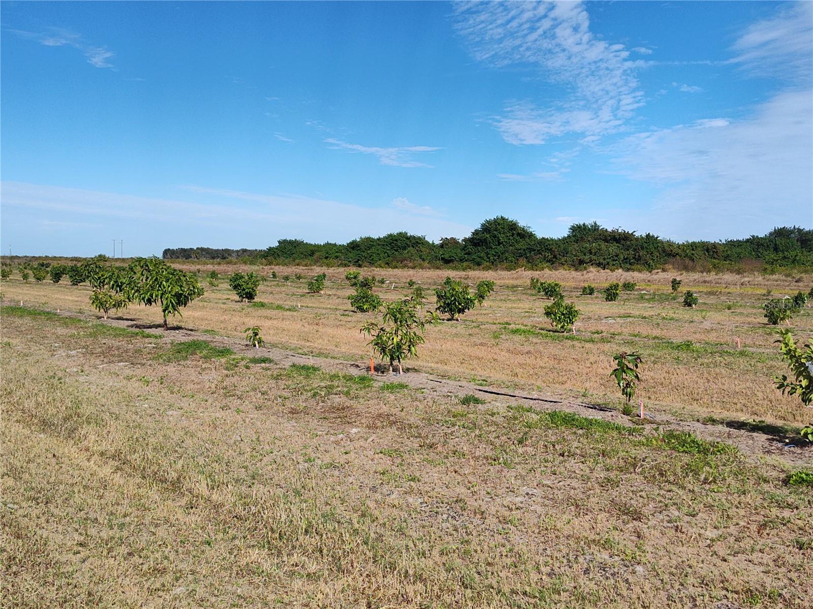 Image 20 of 30 For Address Not Provided