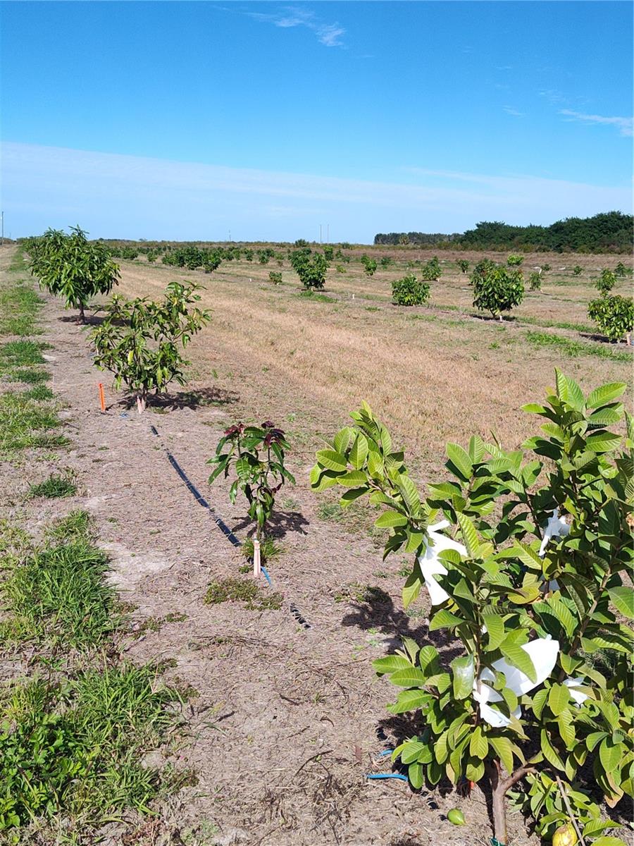 Image 21 of 30 For Address Not Provided