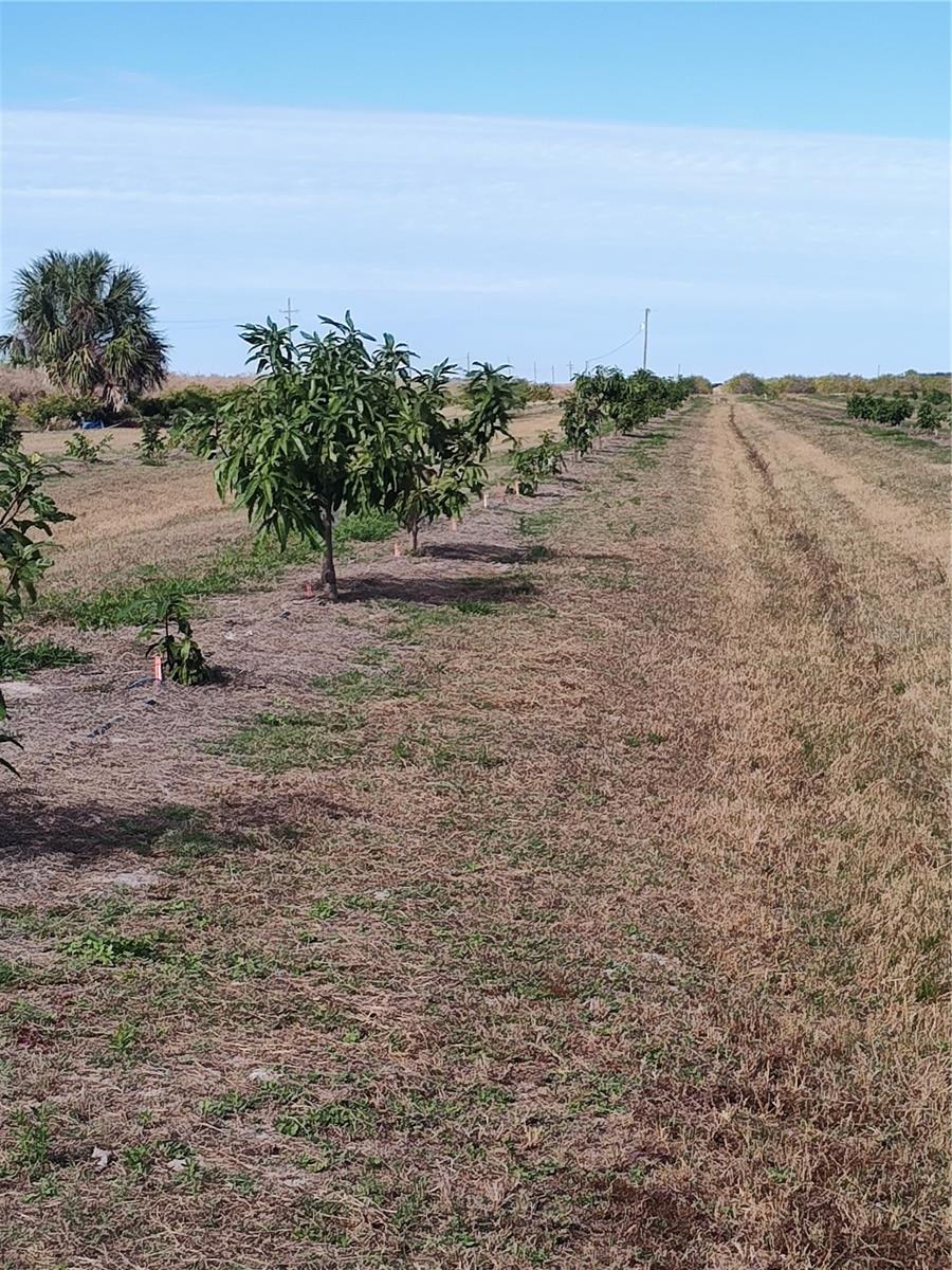 Image 23 of 30 For Address Not Provided